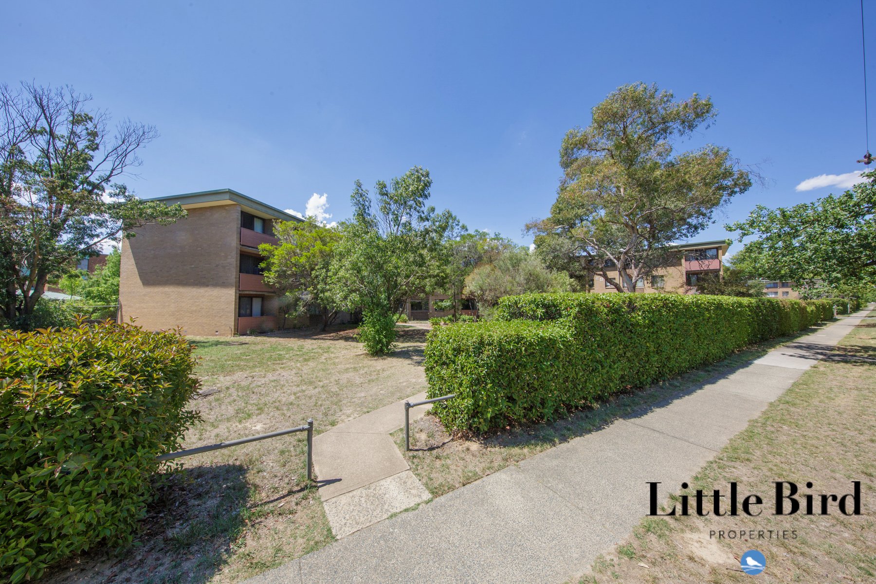 5a_60 Wattle st Lyneham_2.jpg