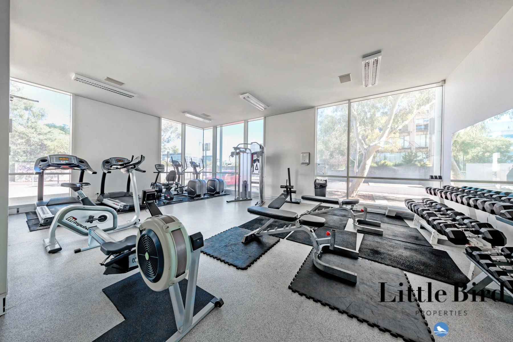 242_84 Chandler st Belconnen_19.jpg