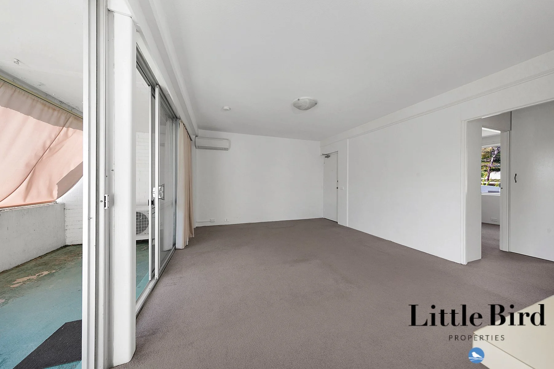 22_6 Wilkins St Mawson_5.jpg