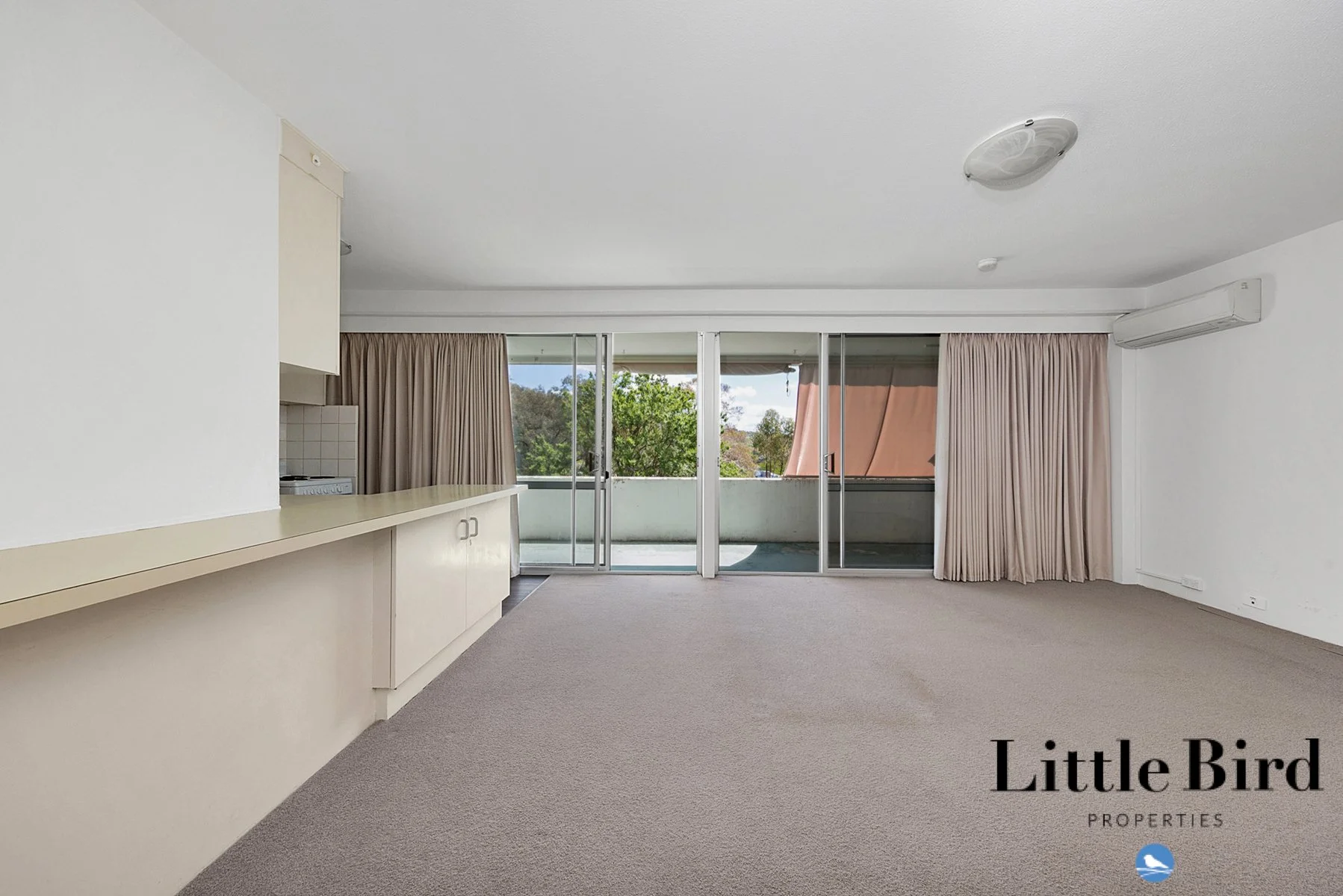 22_6 Wilkins St Mawson_6.jpg