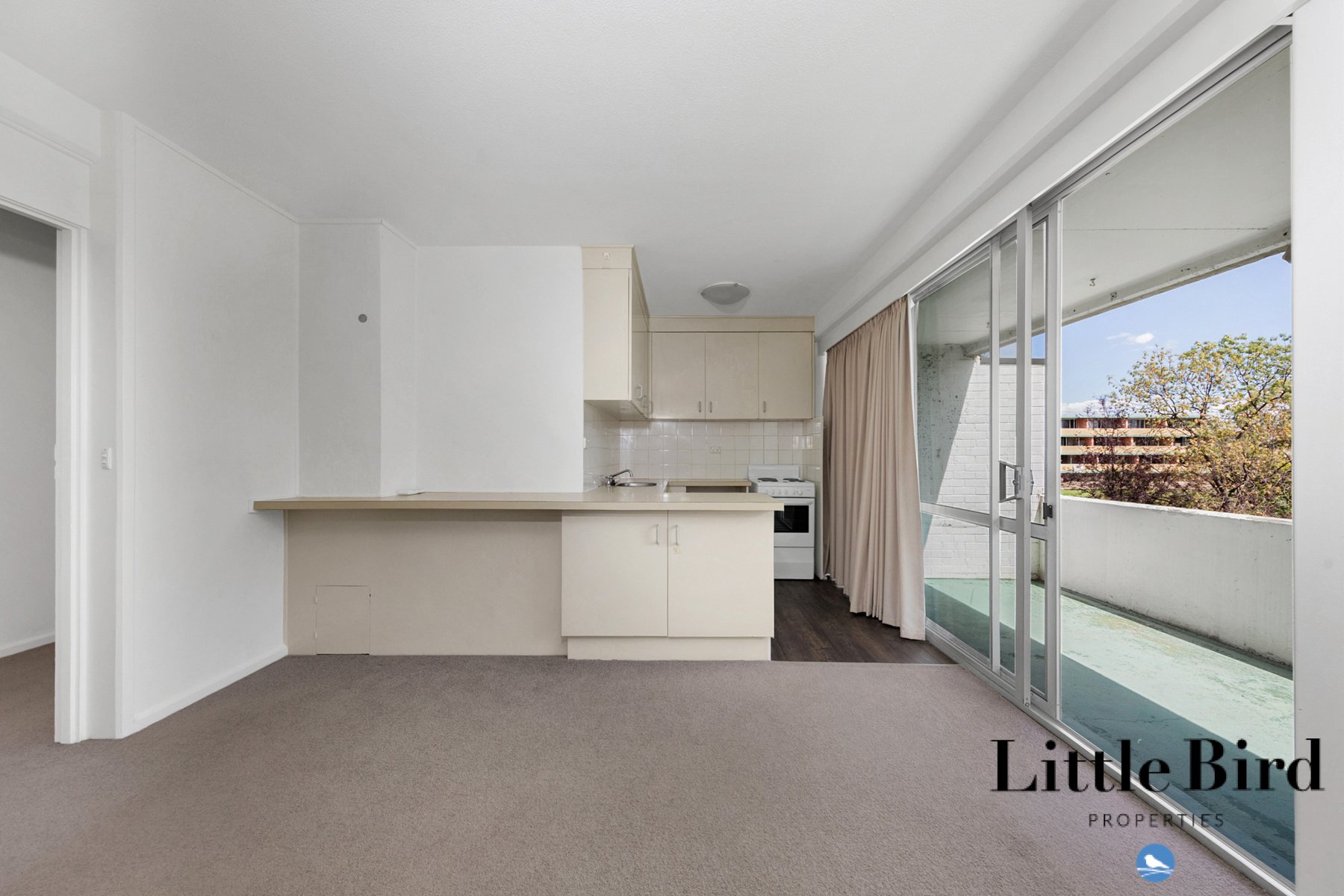 22_6 Wilkins St Mawson_7.jpg