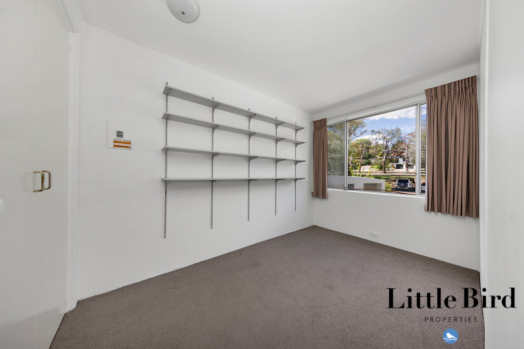 22_6 Wilkins St Mawson_9.jpg