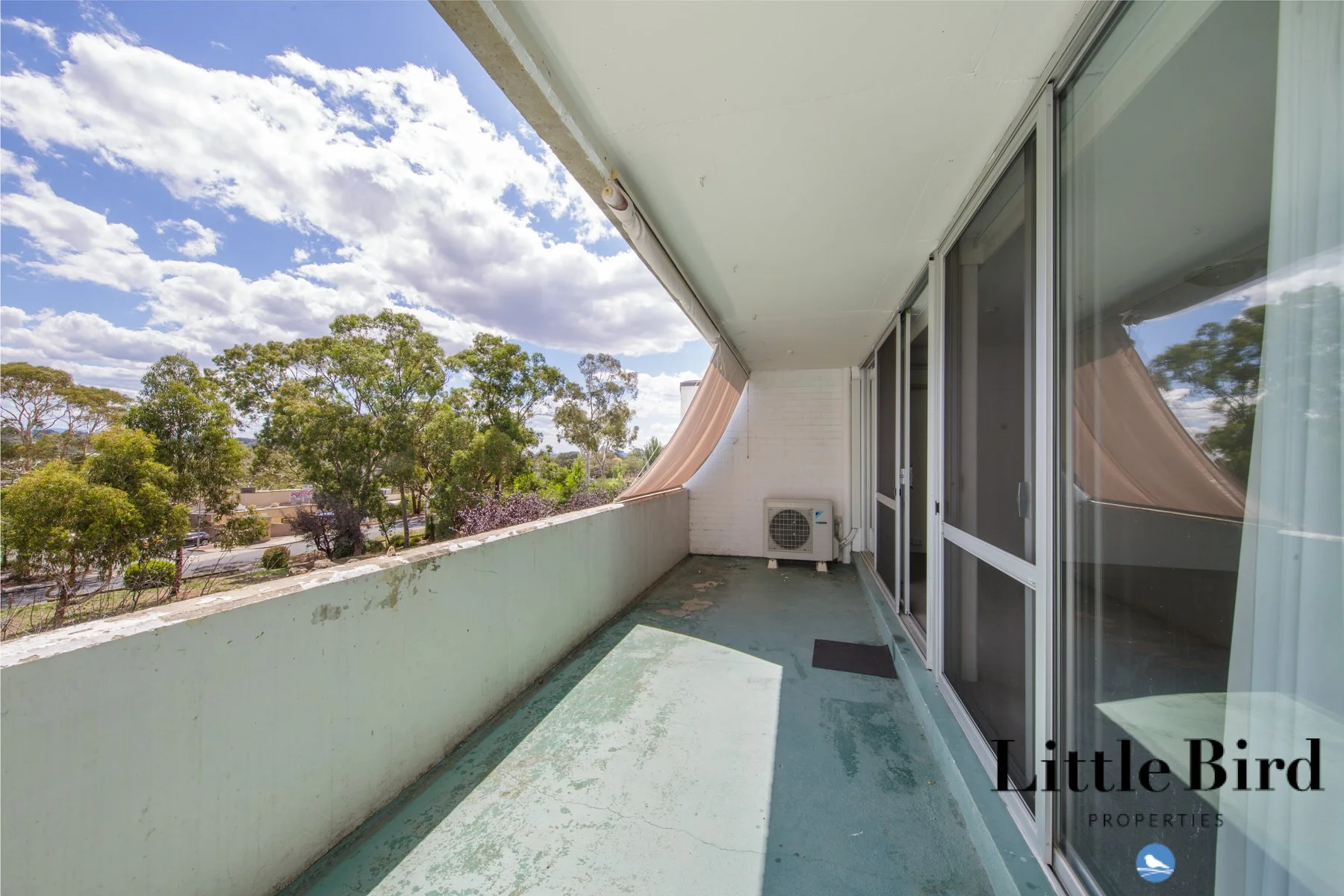 22_6 Wilkins St Mawson_15.jpg