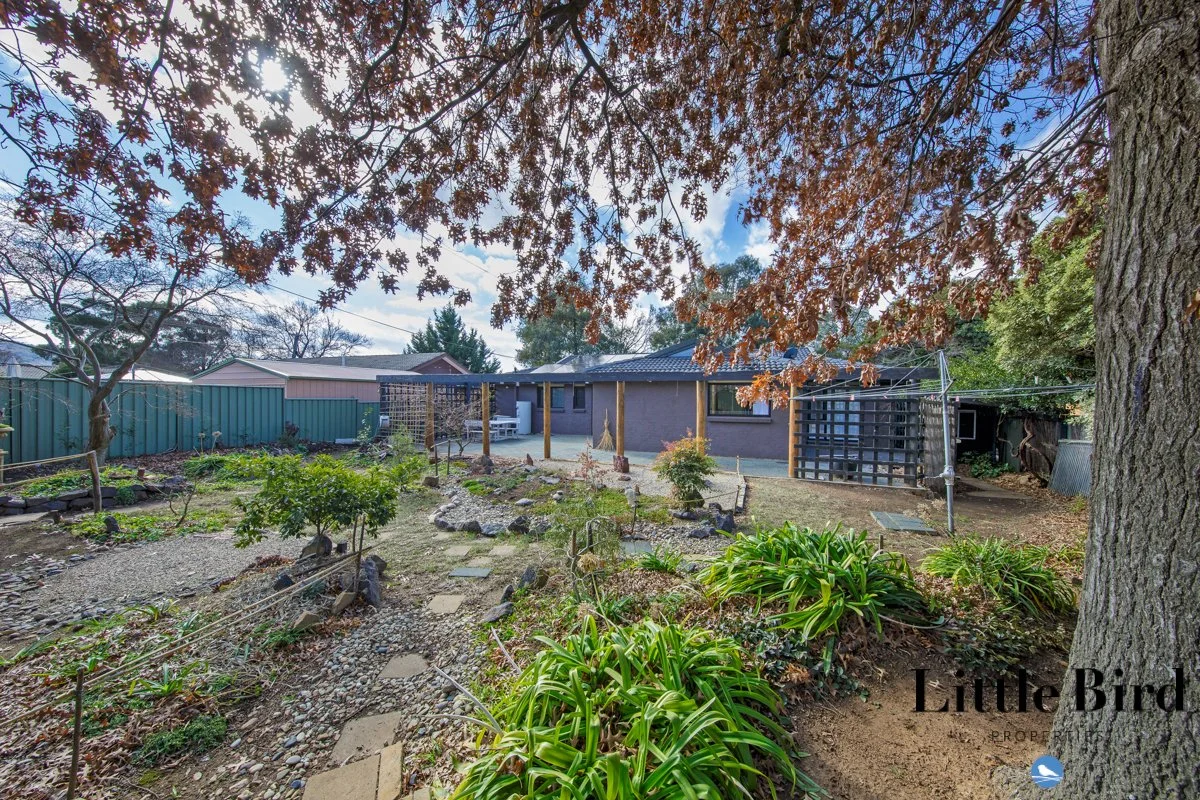 43 Castley cct Kambah_21.jpg