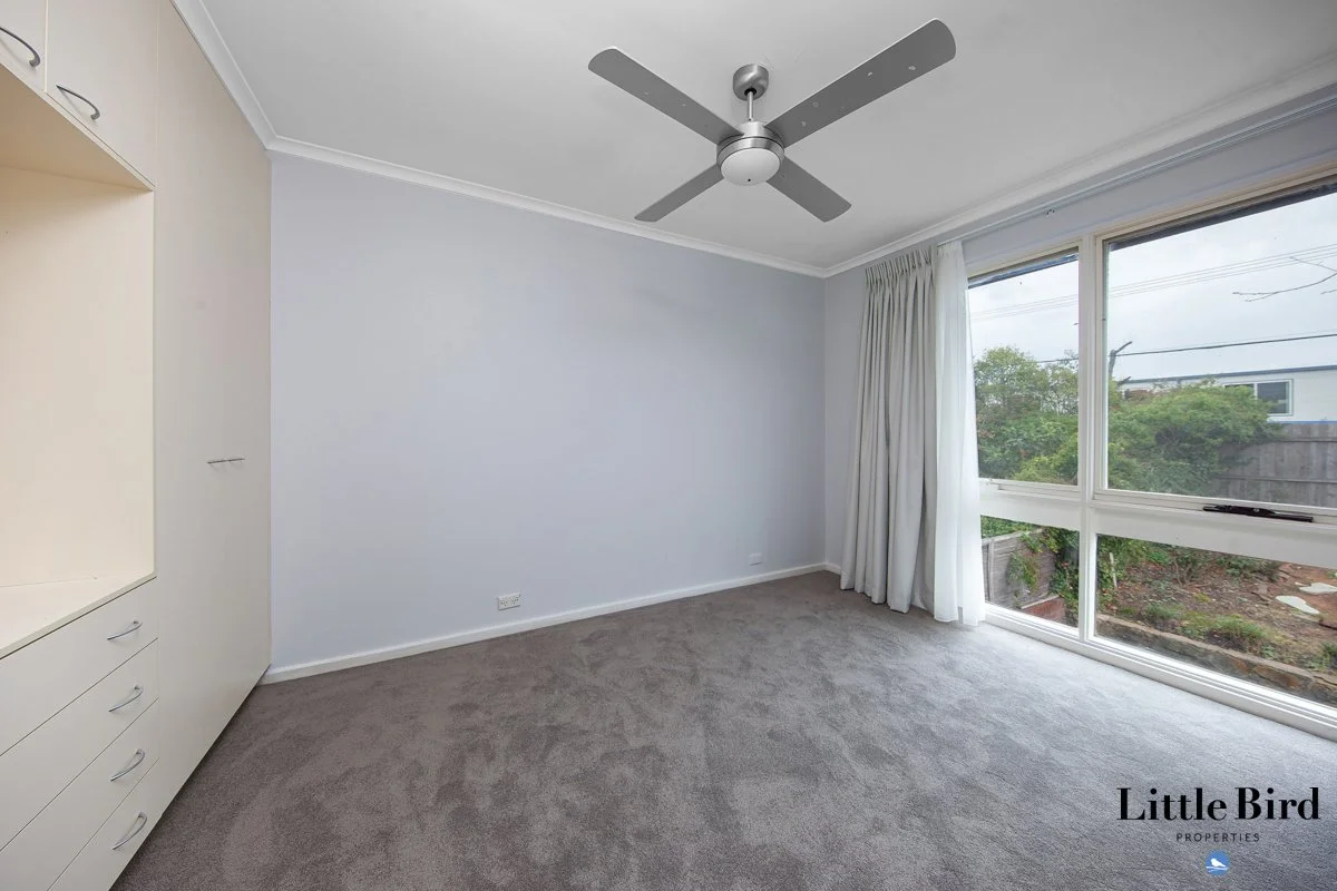 16 Rymill Place Mawson_9.jpg