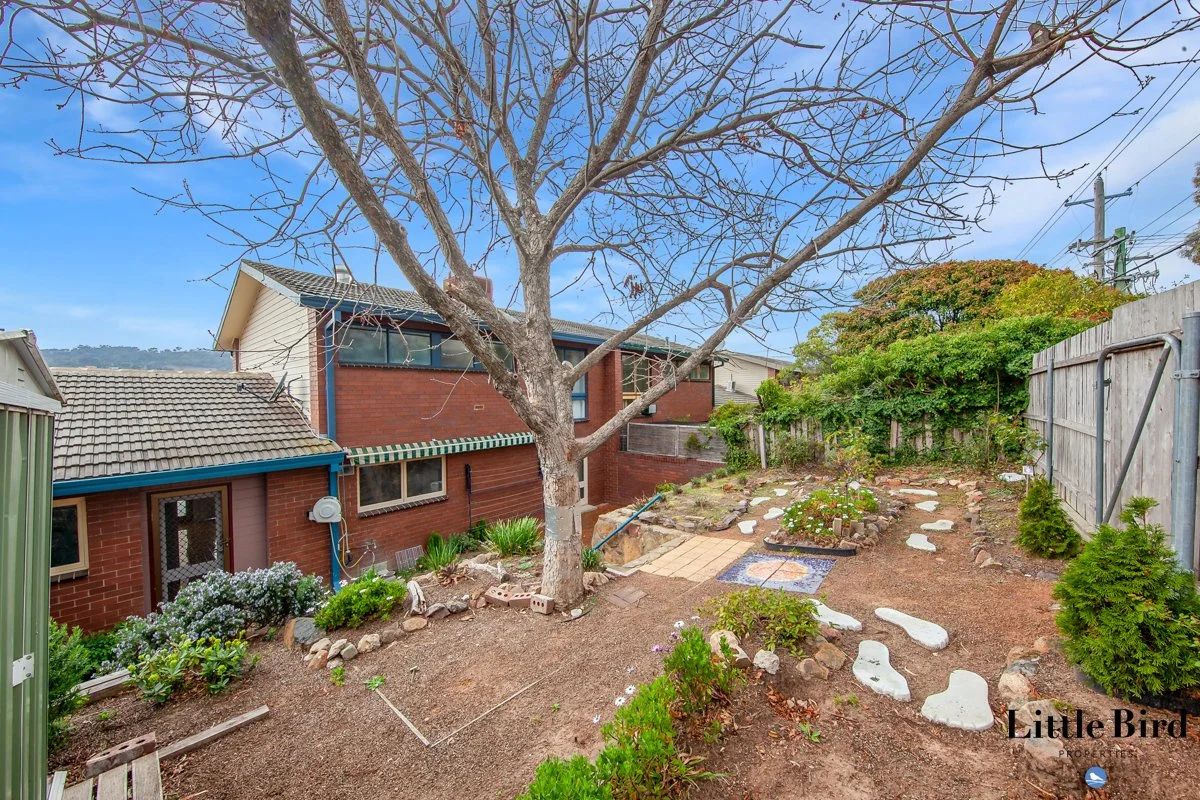 16 Rymill Place Mawson_19.jpg