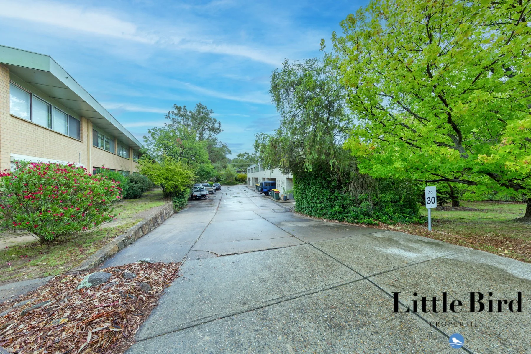 5_30 Gatton St Farrer_1.jpg