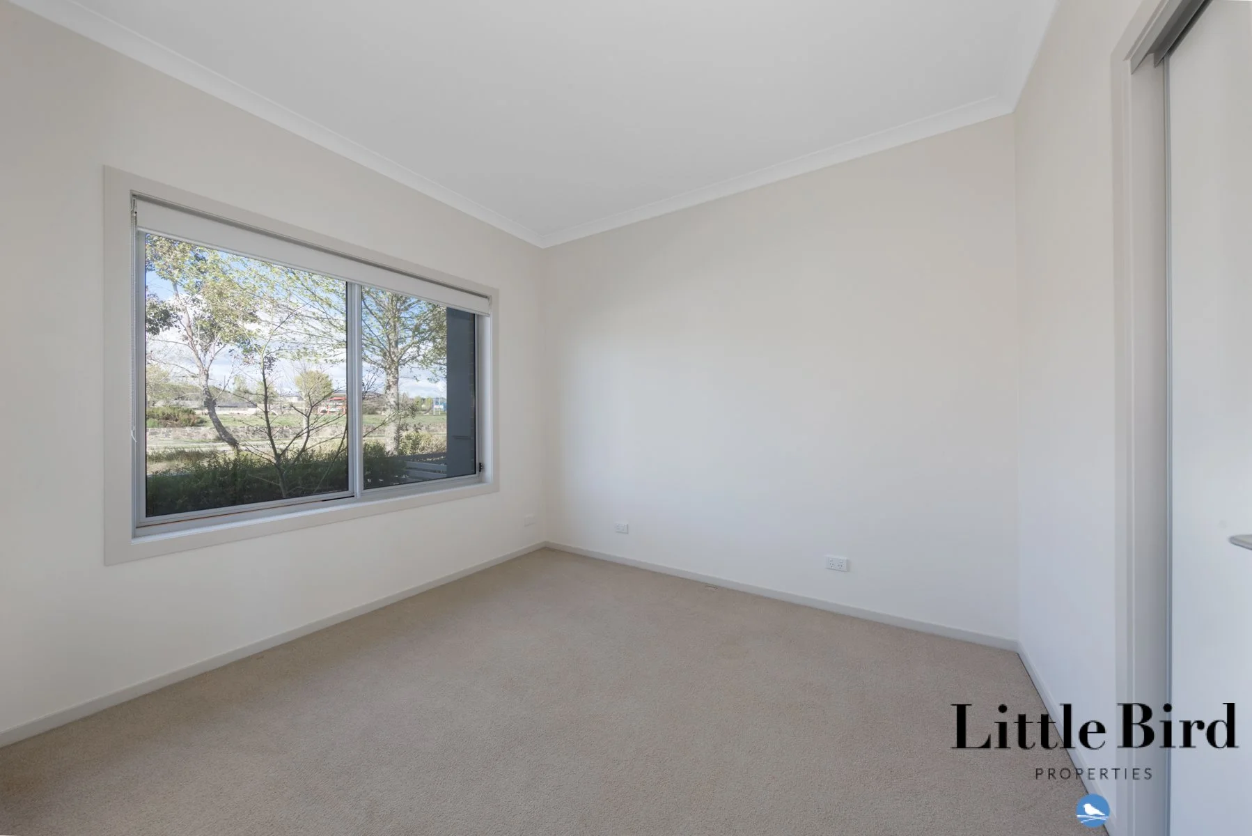 159 Gorman dr Googong_11.jpg