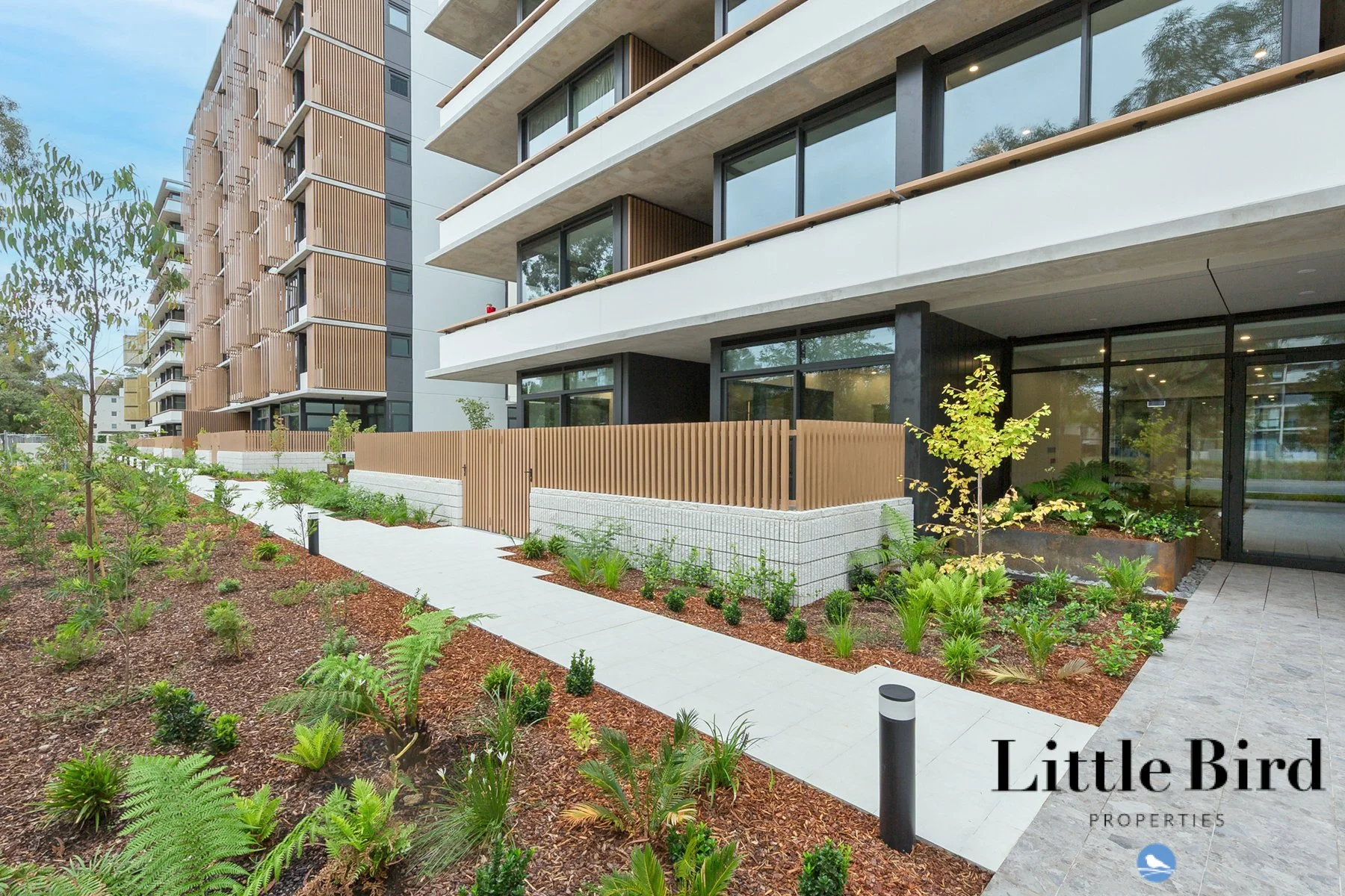 802_300 Northbourne Ave Dickson_3.jpg