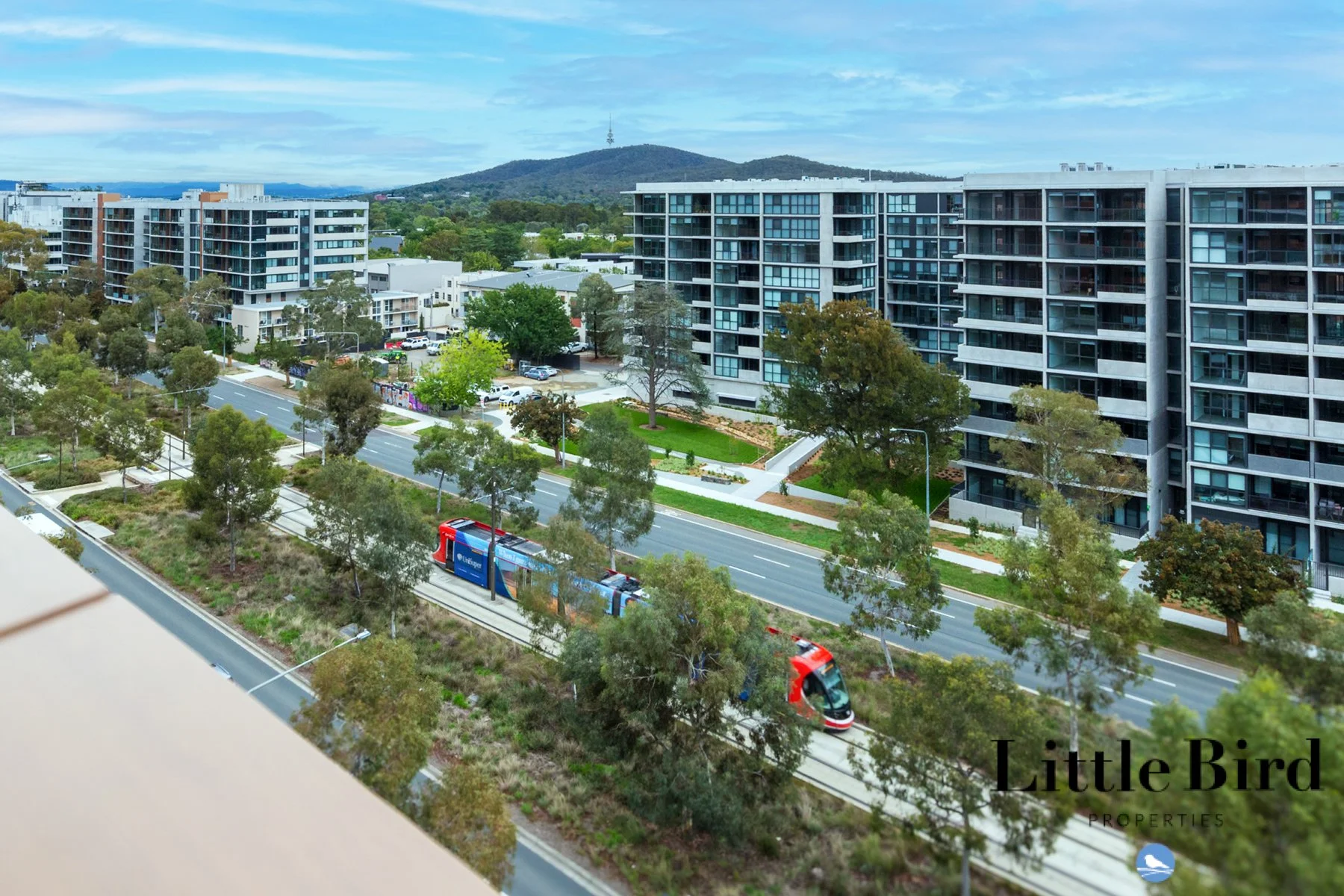 802_300 Northbourne Ave Dickson_22.jpg