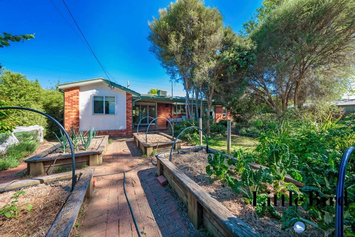 25 Knox st Watson_19.jpg