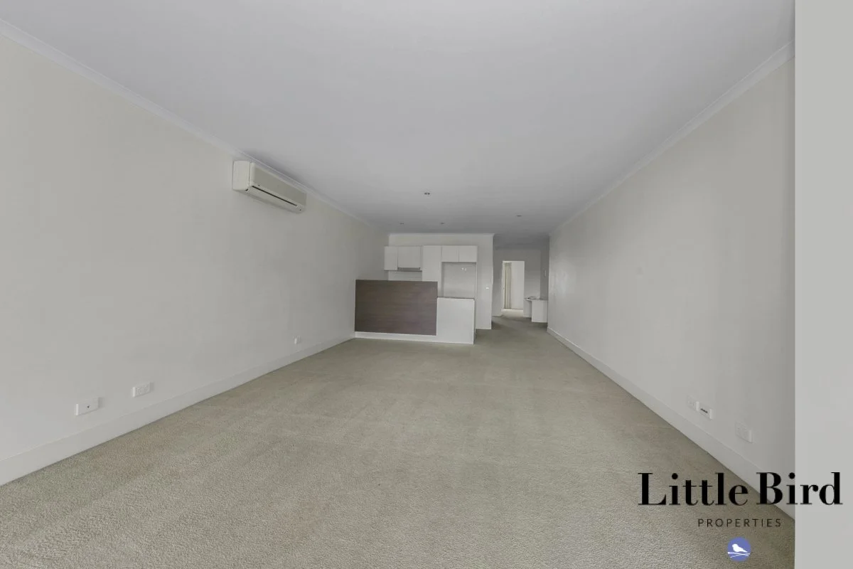 32_18 Moore St Turner_4.jpg