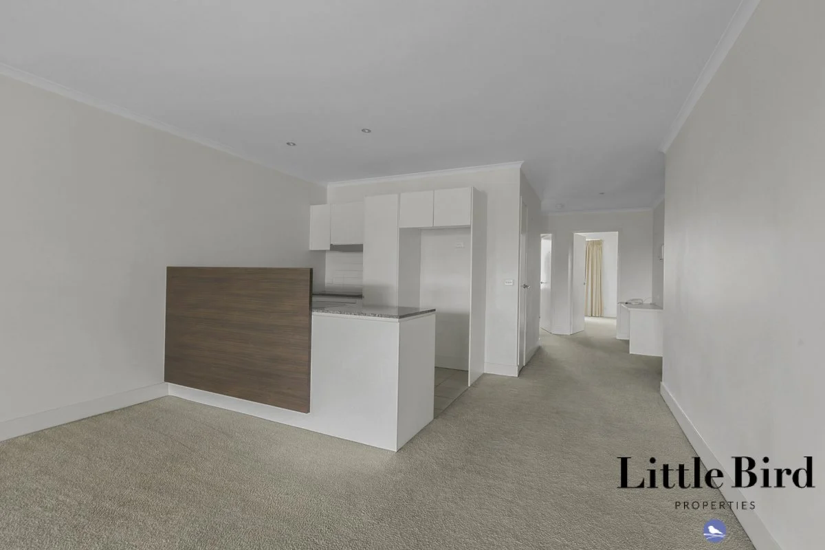 32_18 Moore St Turner_5.jpg