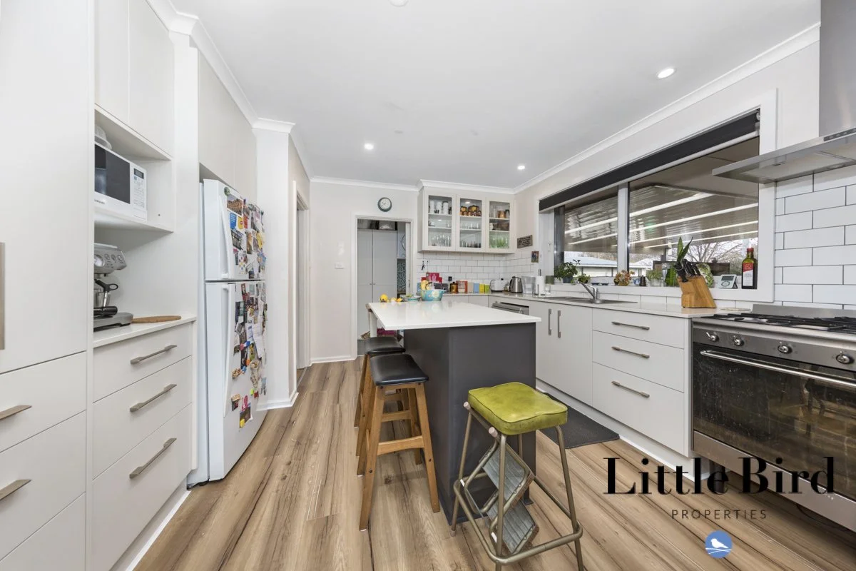 59 Swinden st Downer_7.jpg