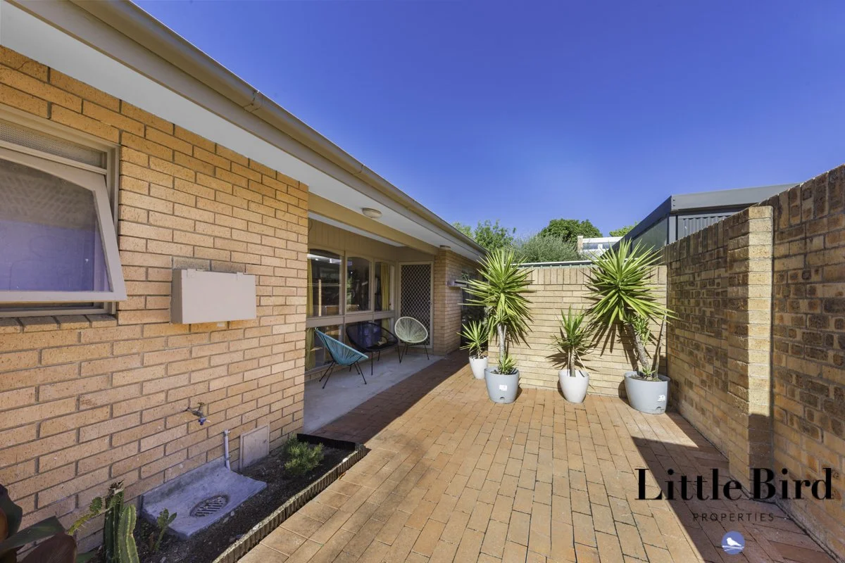 8 Boothby st Garran_3.jpg