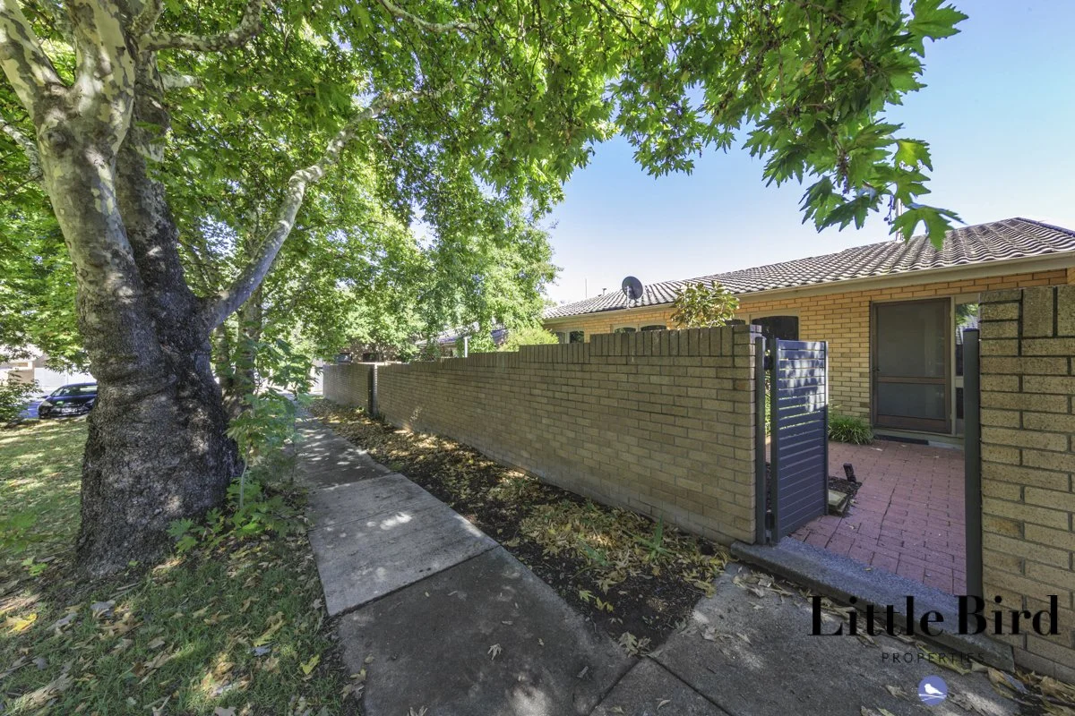 8 Boothby st Garran_19.jpg