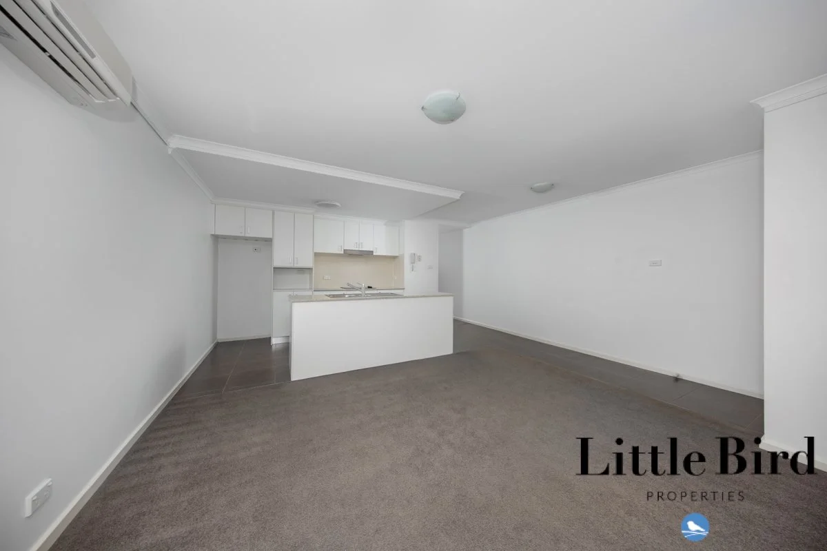 13_43 Ipima Street Braddon_4.jpg