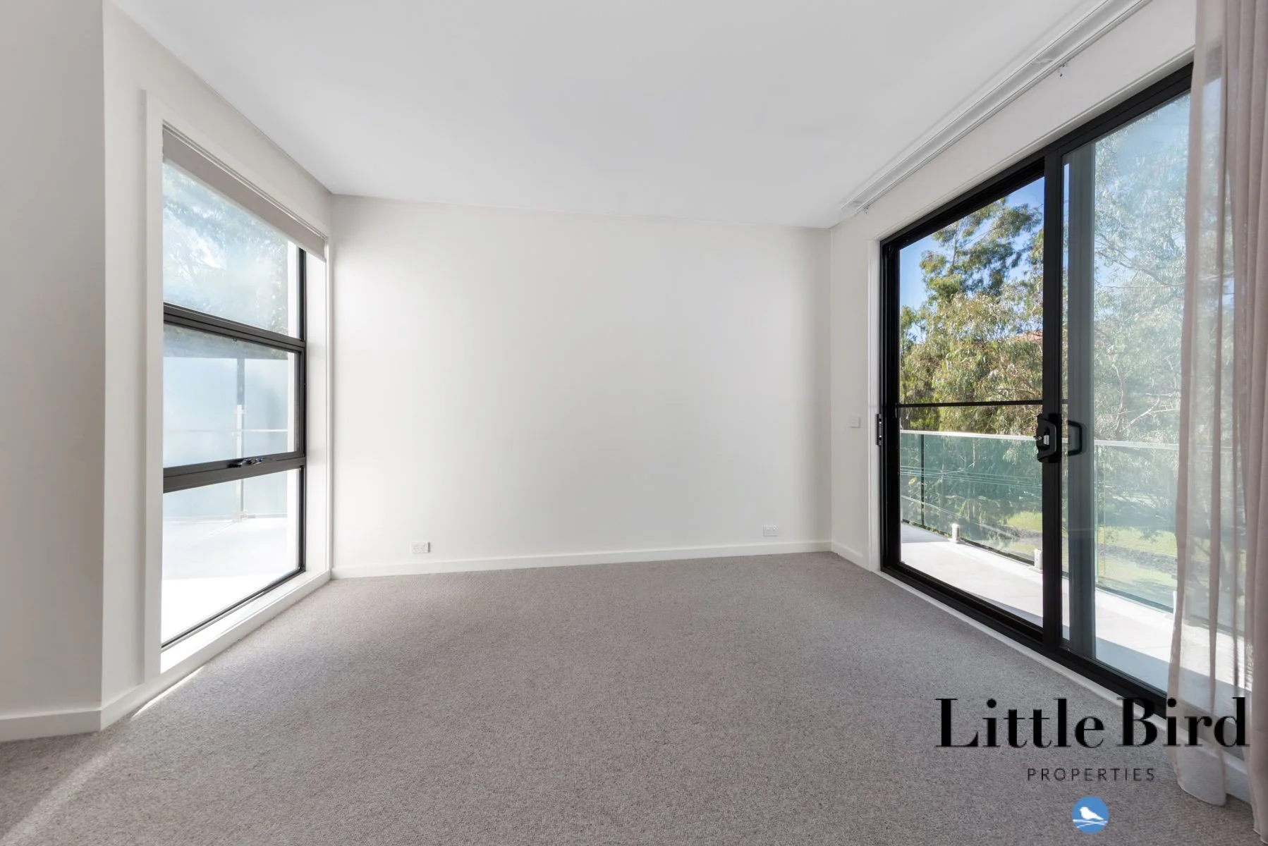 12A Markham St Mawson_12.jpg