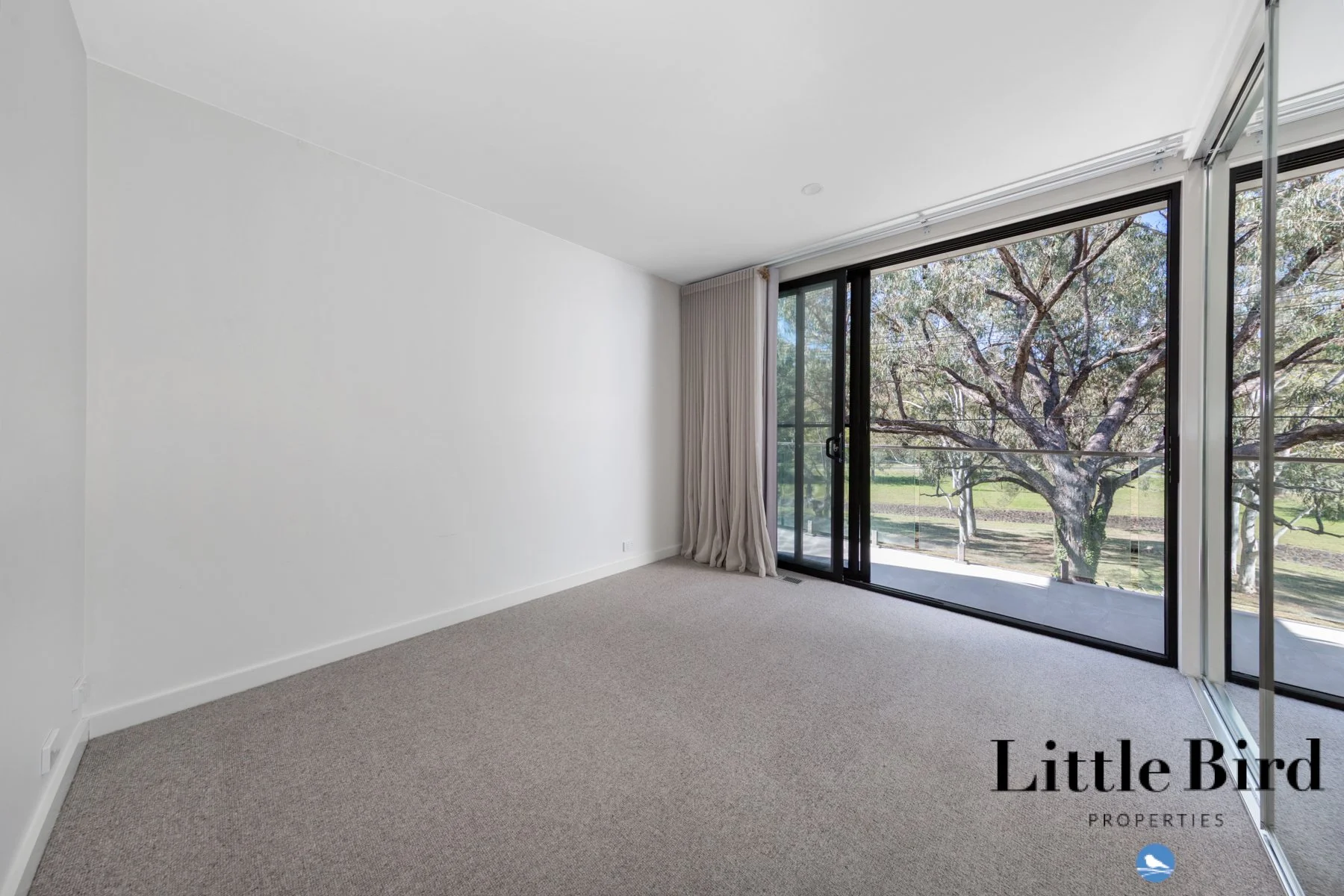 12A Markham St Mawson_16.jpg