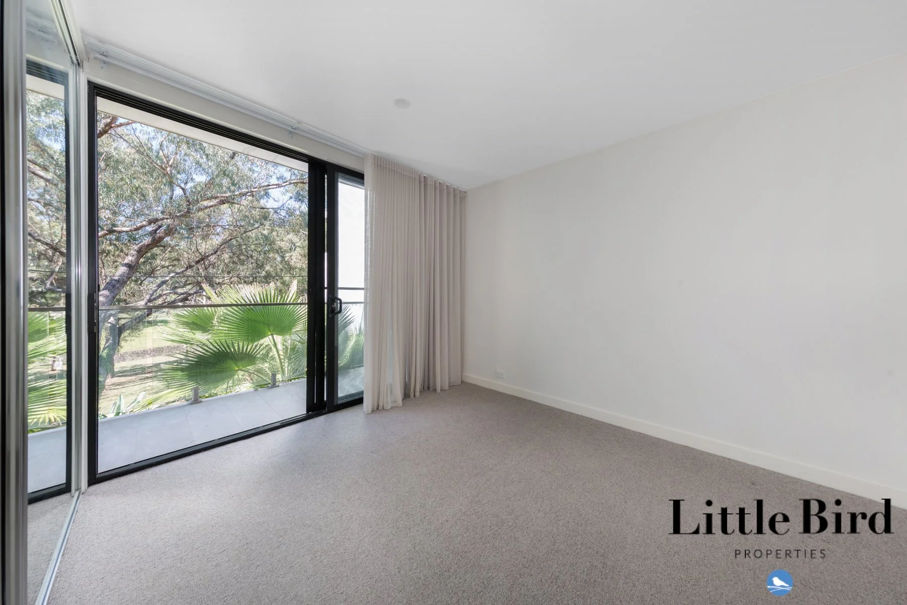 12A Markham St Mawson_18.jpg