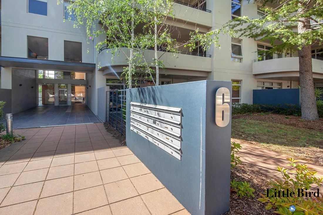 15_6 Macleay st Turner_3.jpg