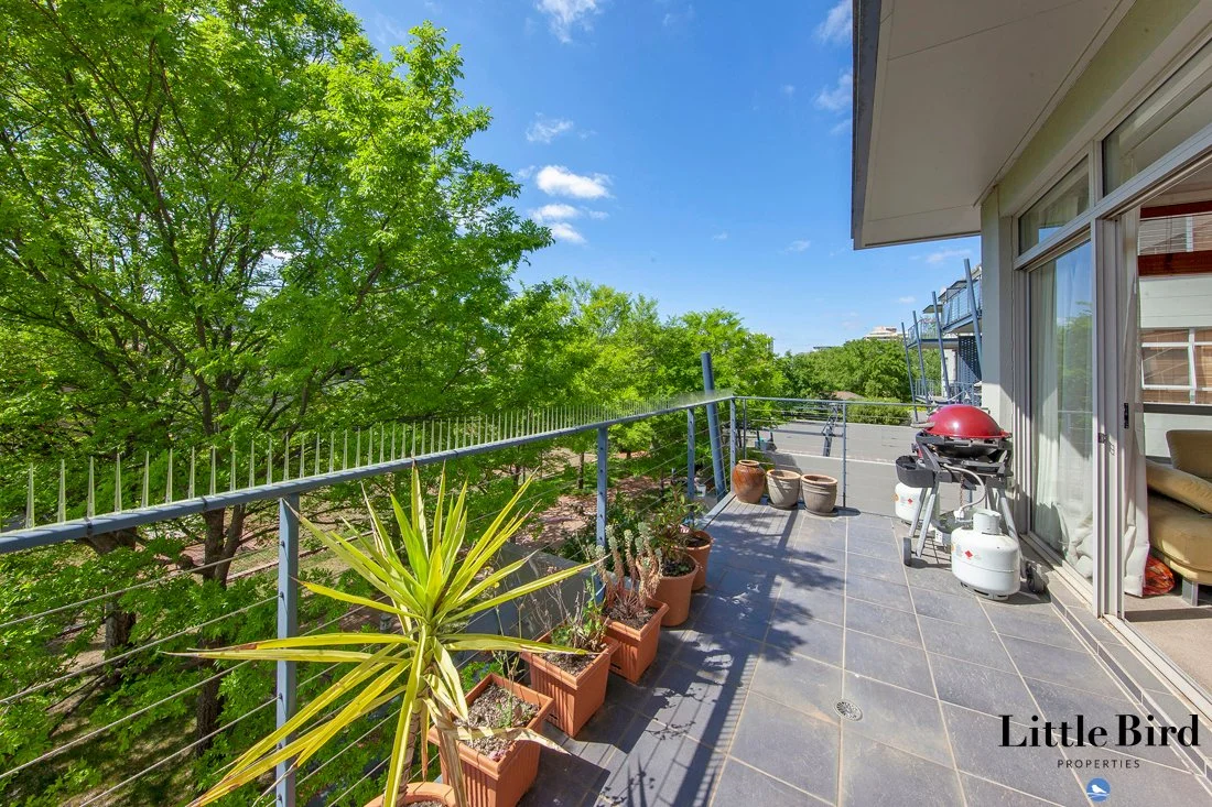 15_6 Macleay st Turner_12.jpg