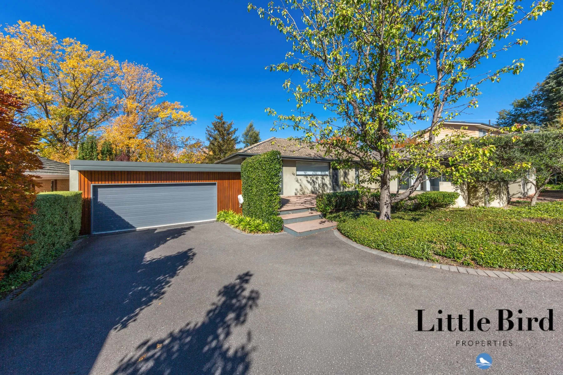 55 Allan St Curtin_2.jpg