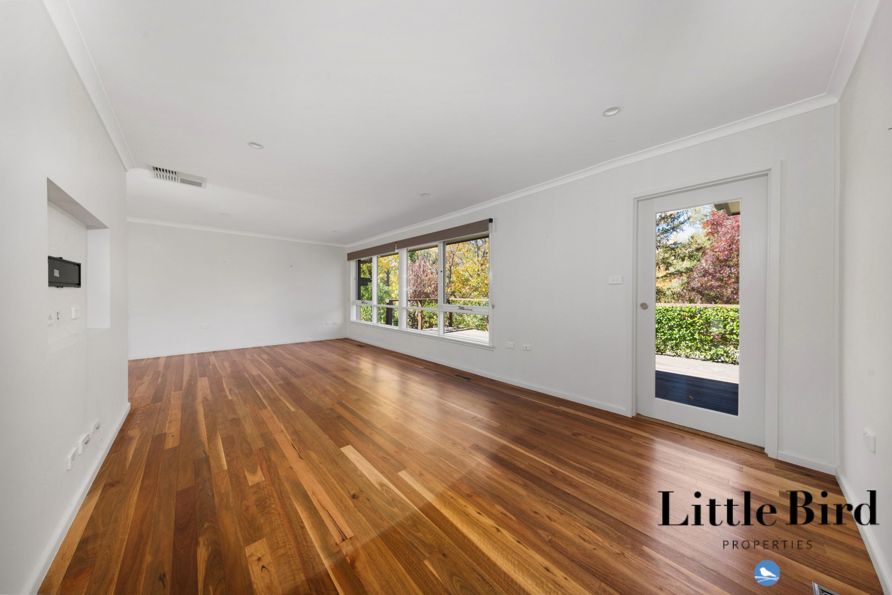 55 Allan St Curtin_6.jpg