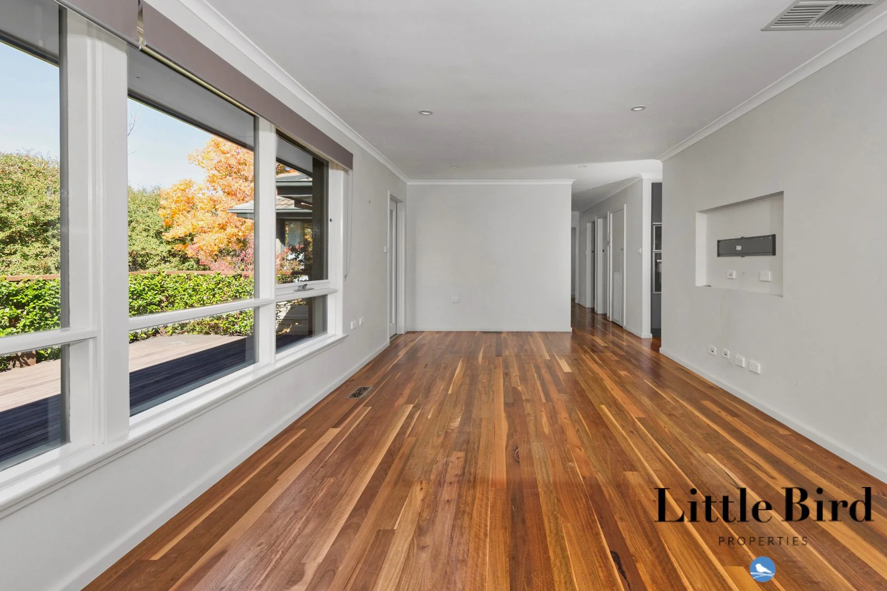 55 Allan St Curtin_7.jpg