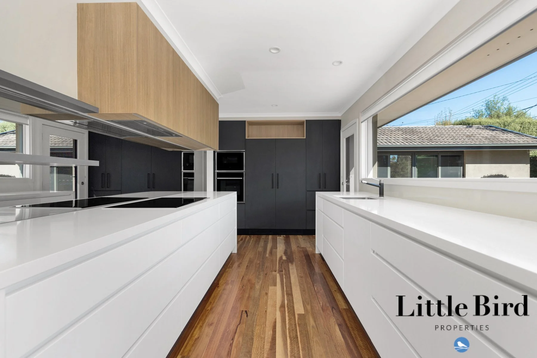 55 Allan St Curtin_9.jpg