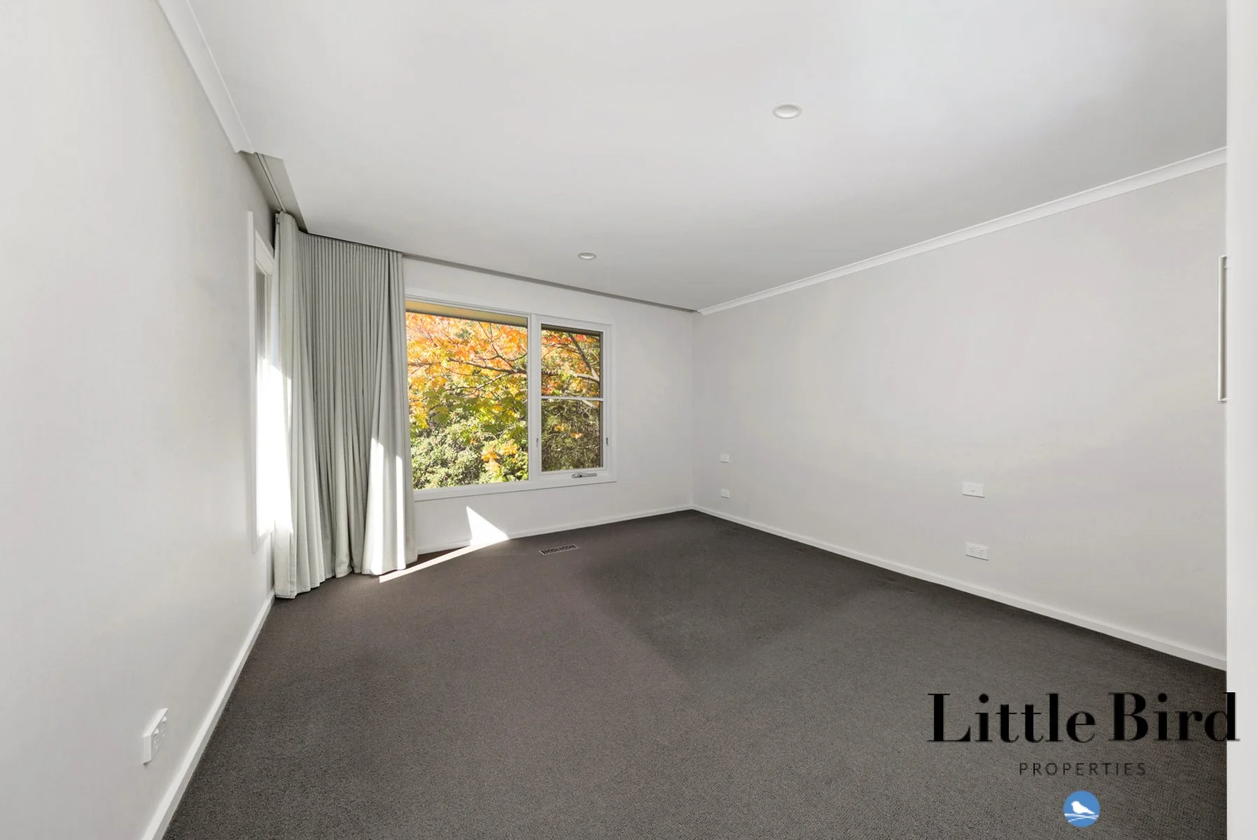 55 Allan St Curtin_11.jpg