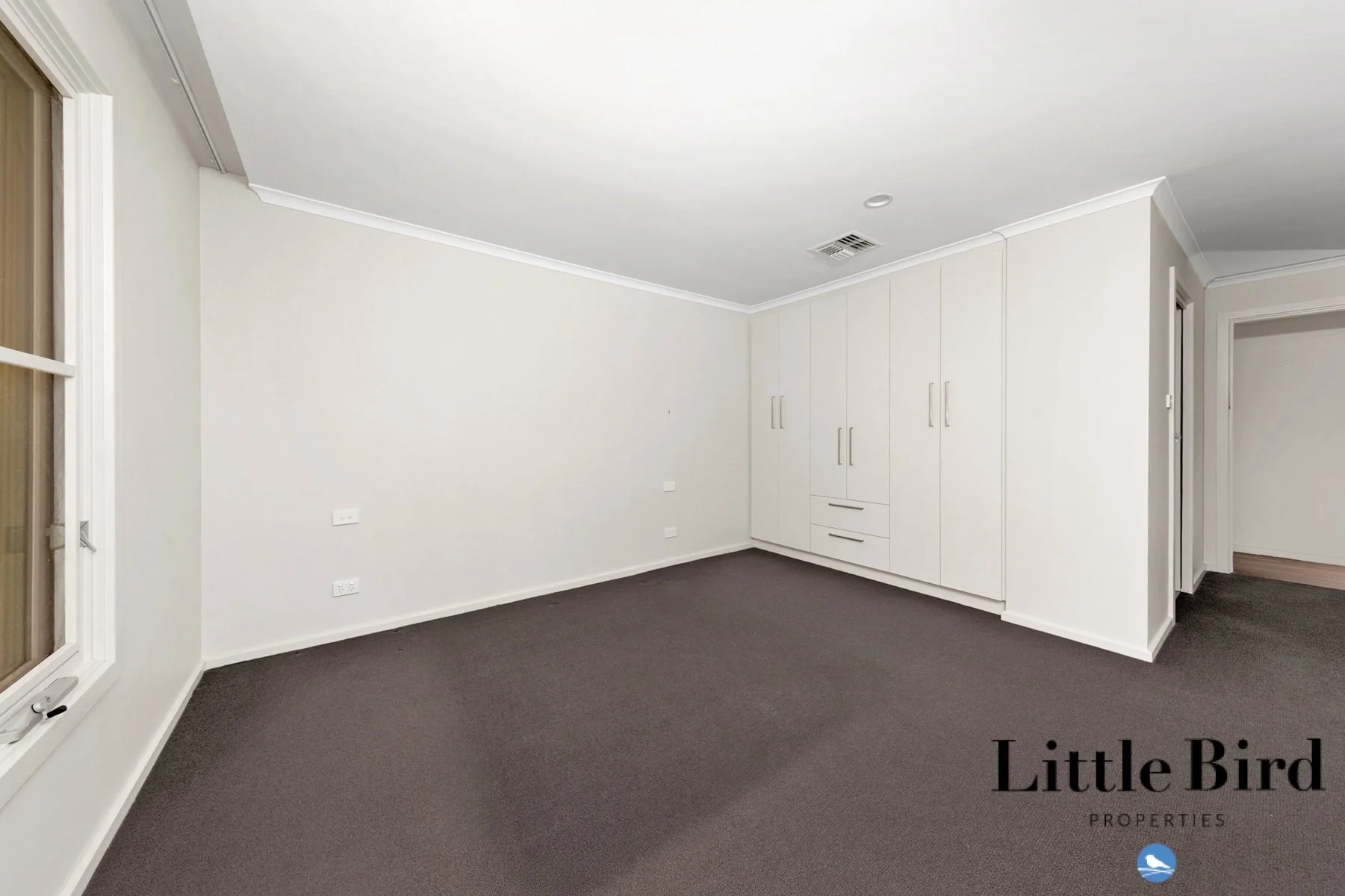55 Allan St Curtin_12.jpg