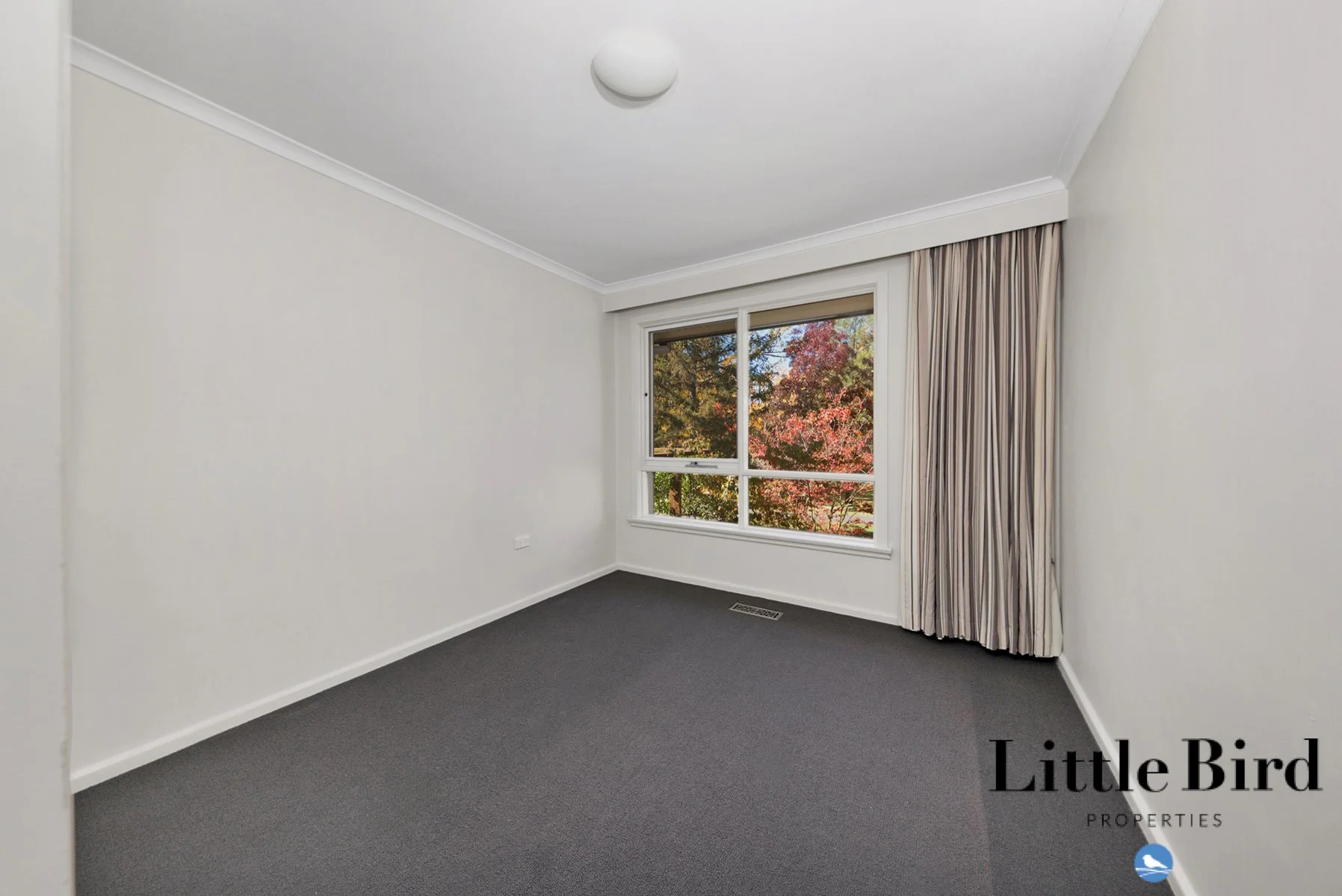55 Allan St Curtin_15.jpg