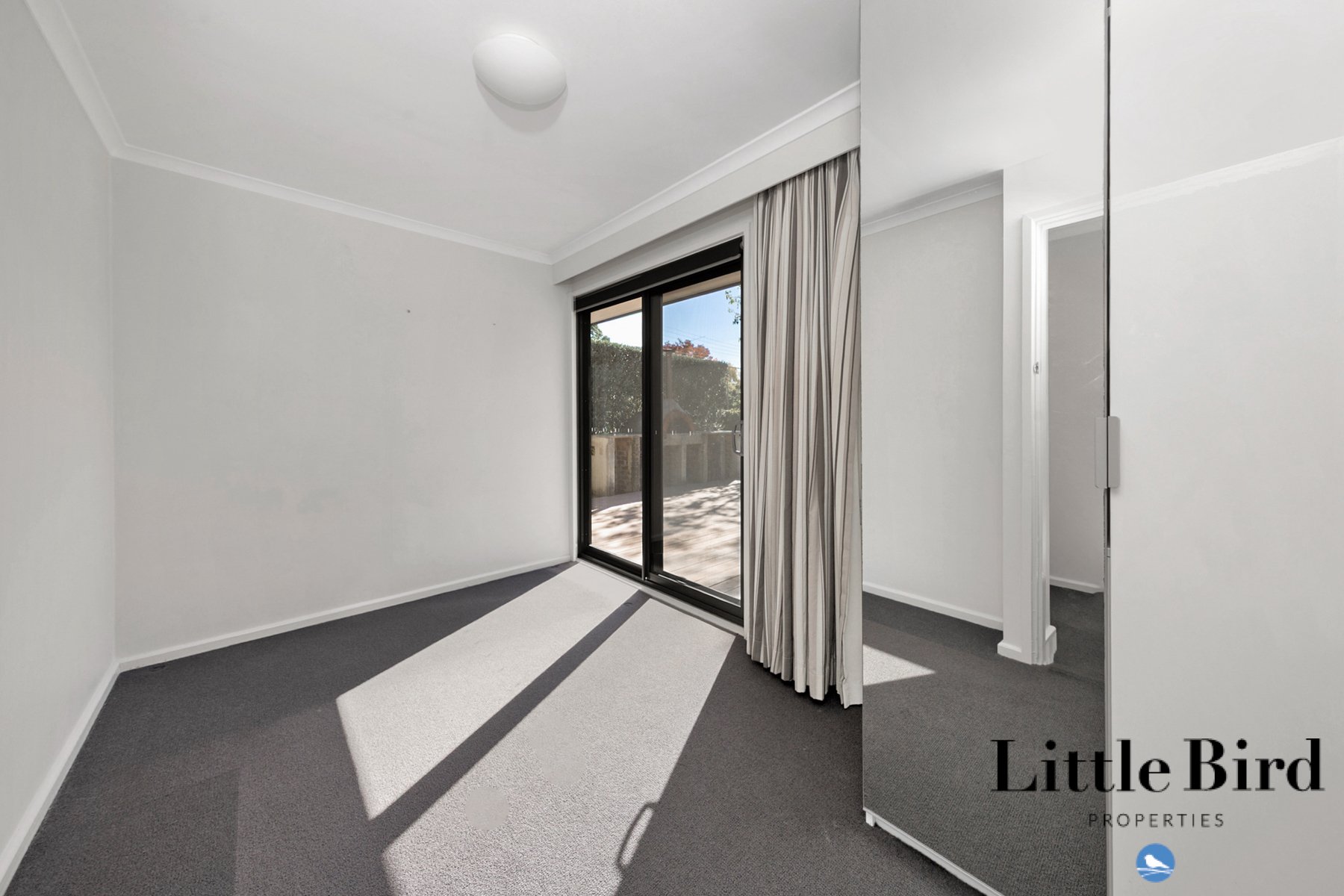 55 Allan St Curtin_16.jpg
