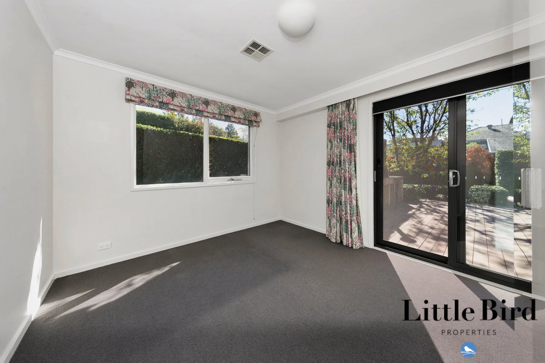 55 Allan St Curtin_17.jpg