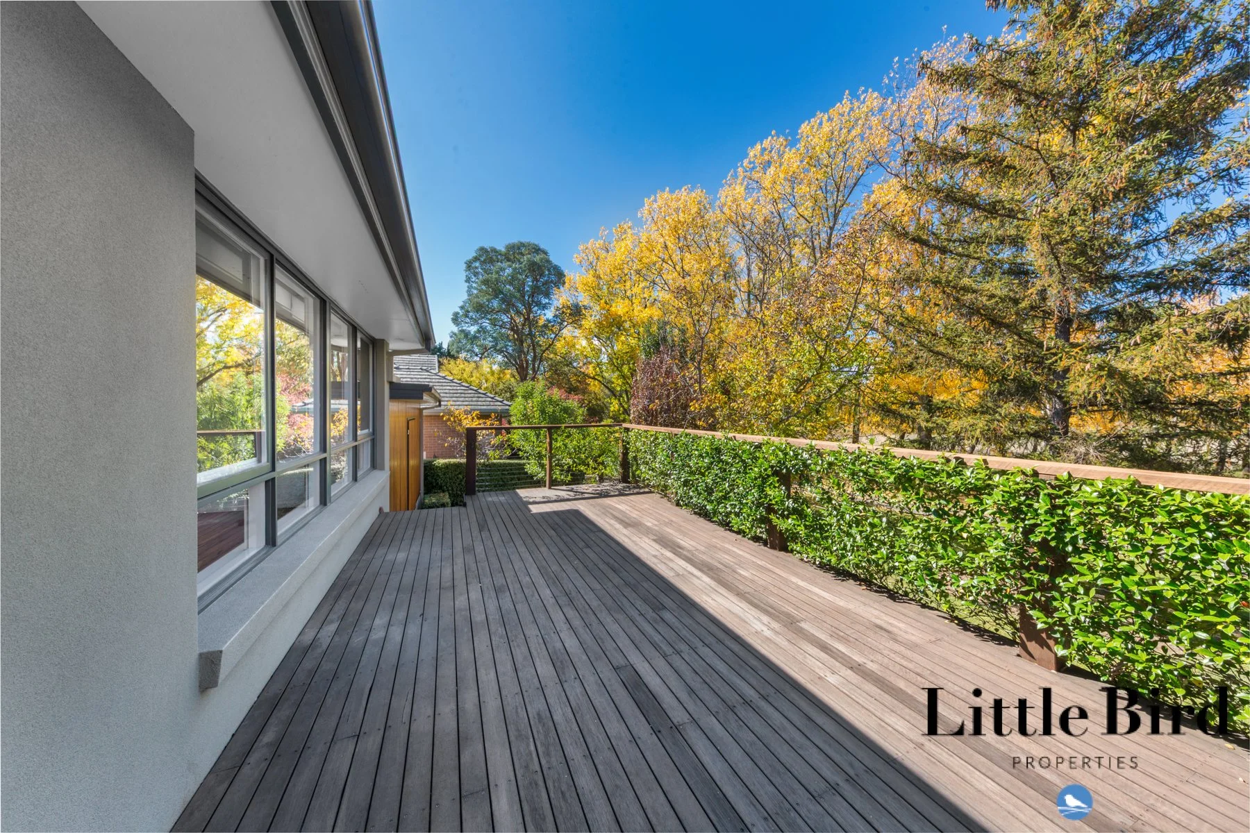 55 Allan St Curtin_20.jpg