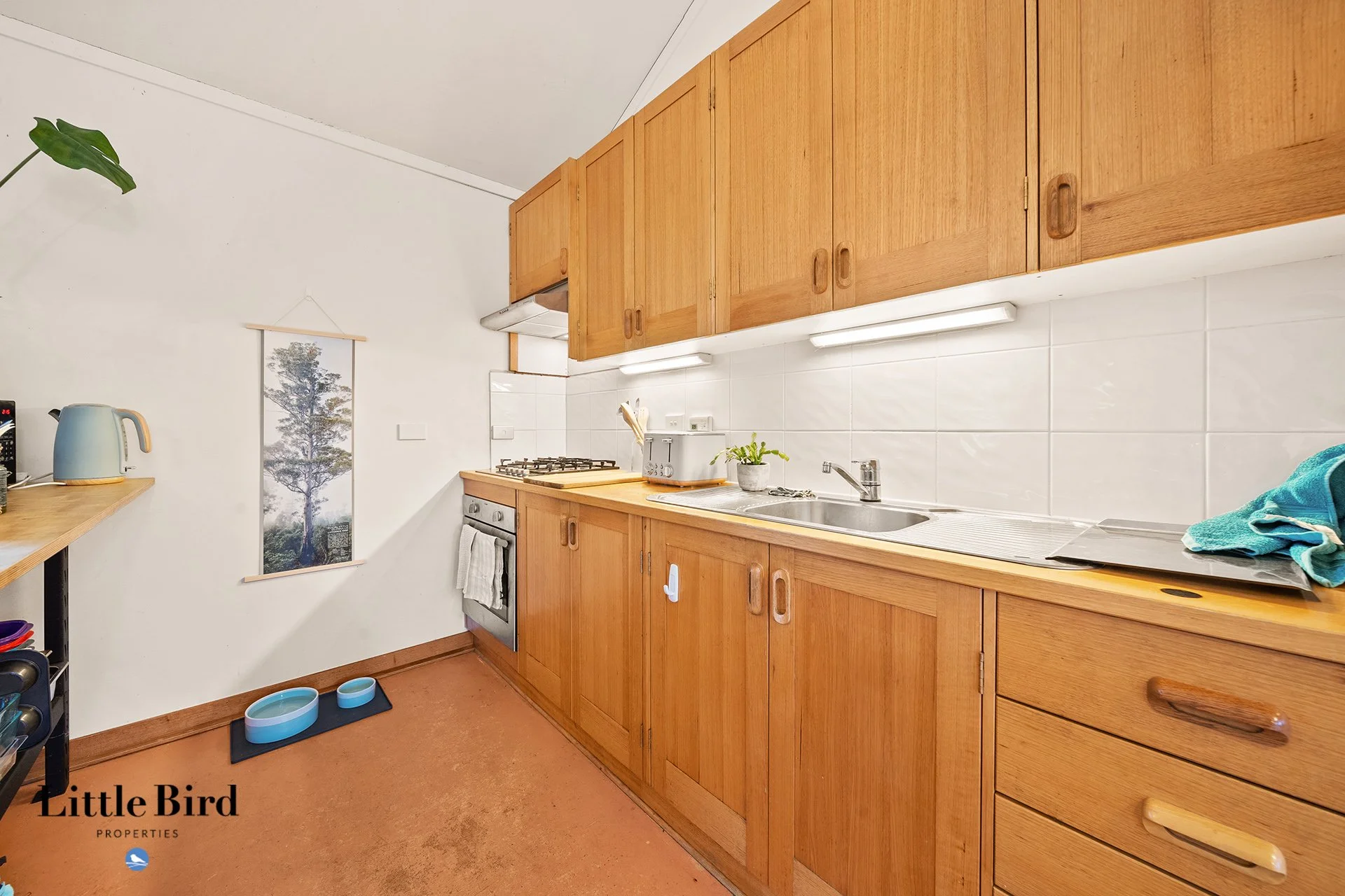 Reid 3a Doonkuna St_10.jpg