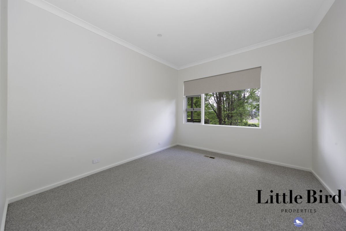 98 Dryandra St O'Connor_9.jpg