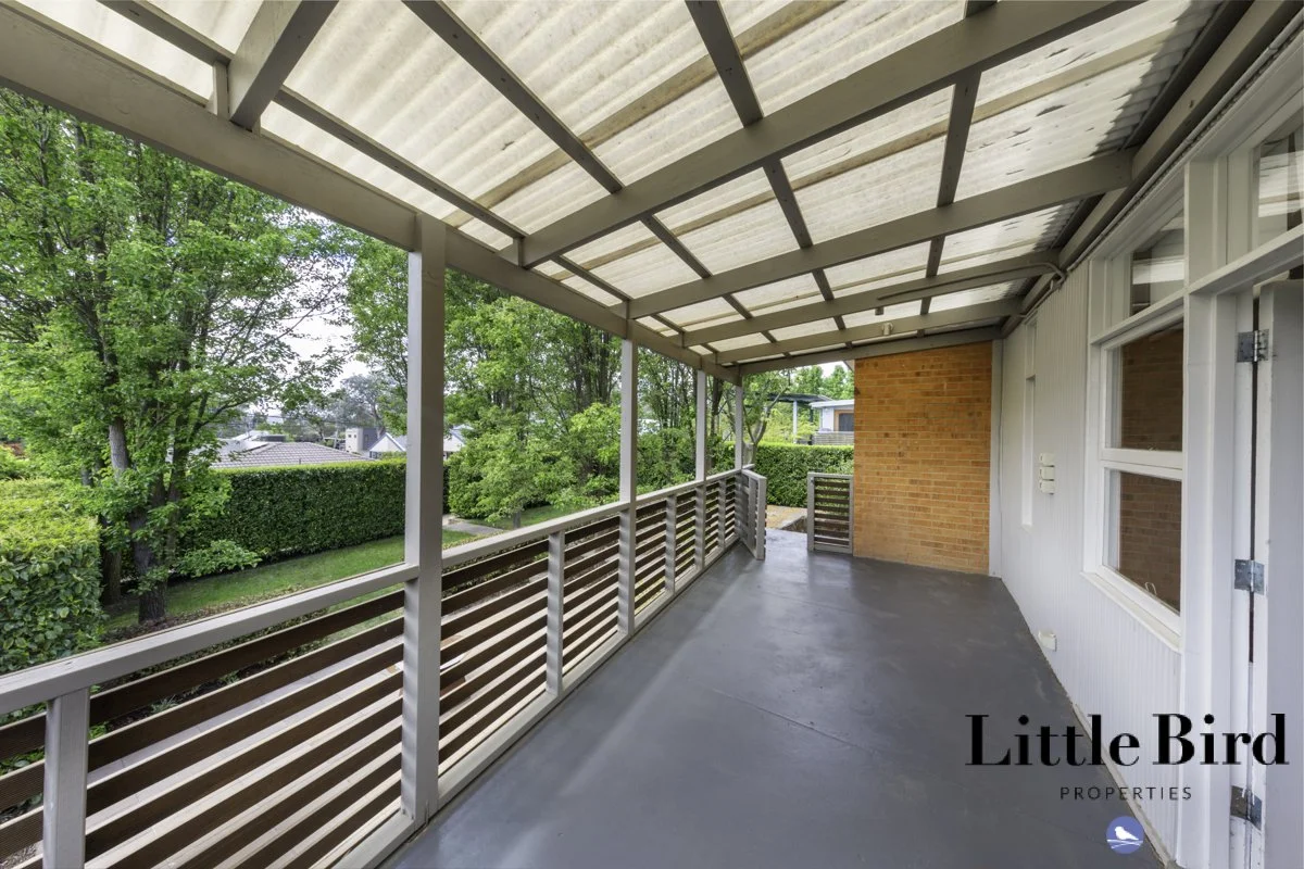98 Dryandra St O'Connor_14.jpg