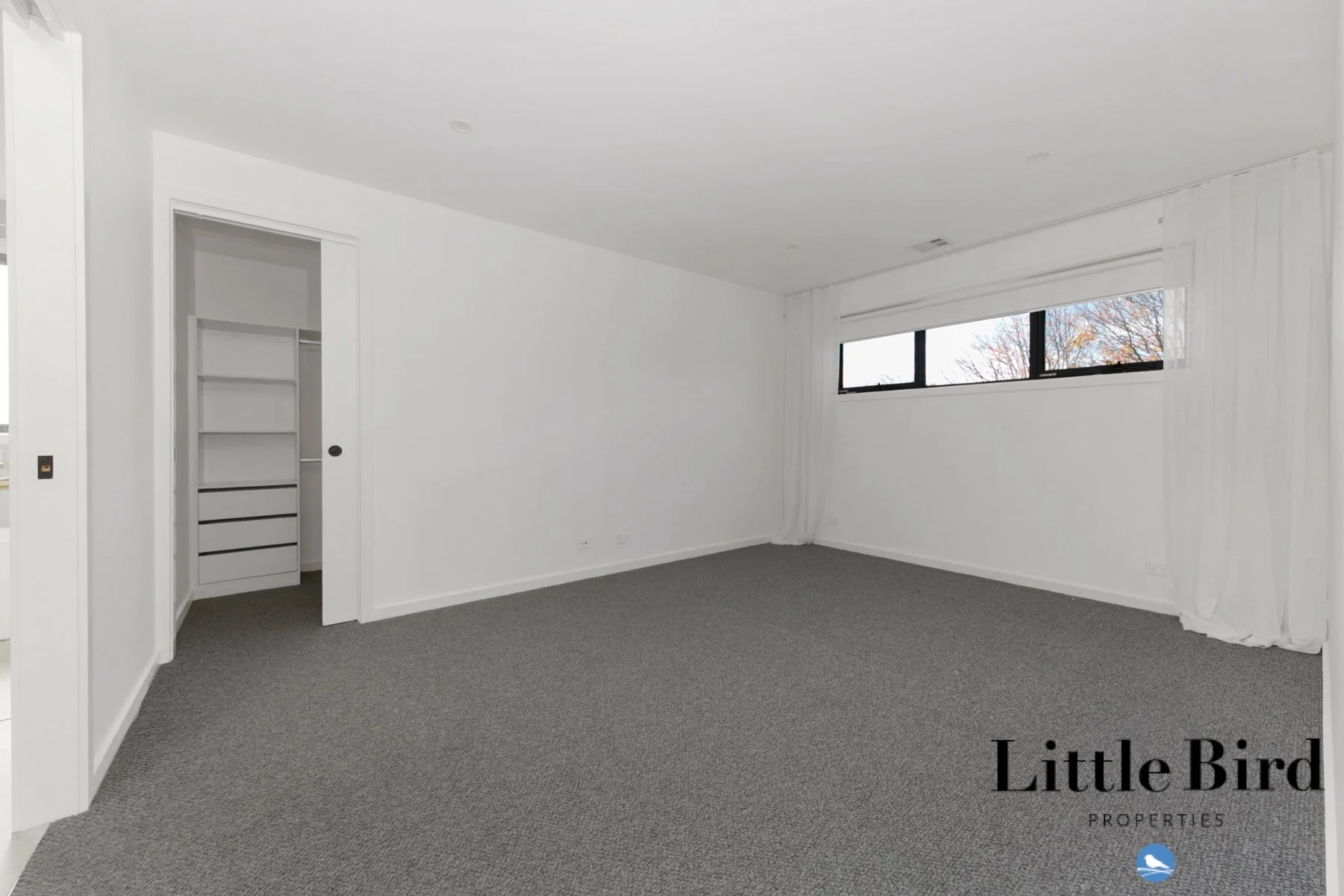 41 Kanooka St Rivett_10.jpg