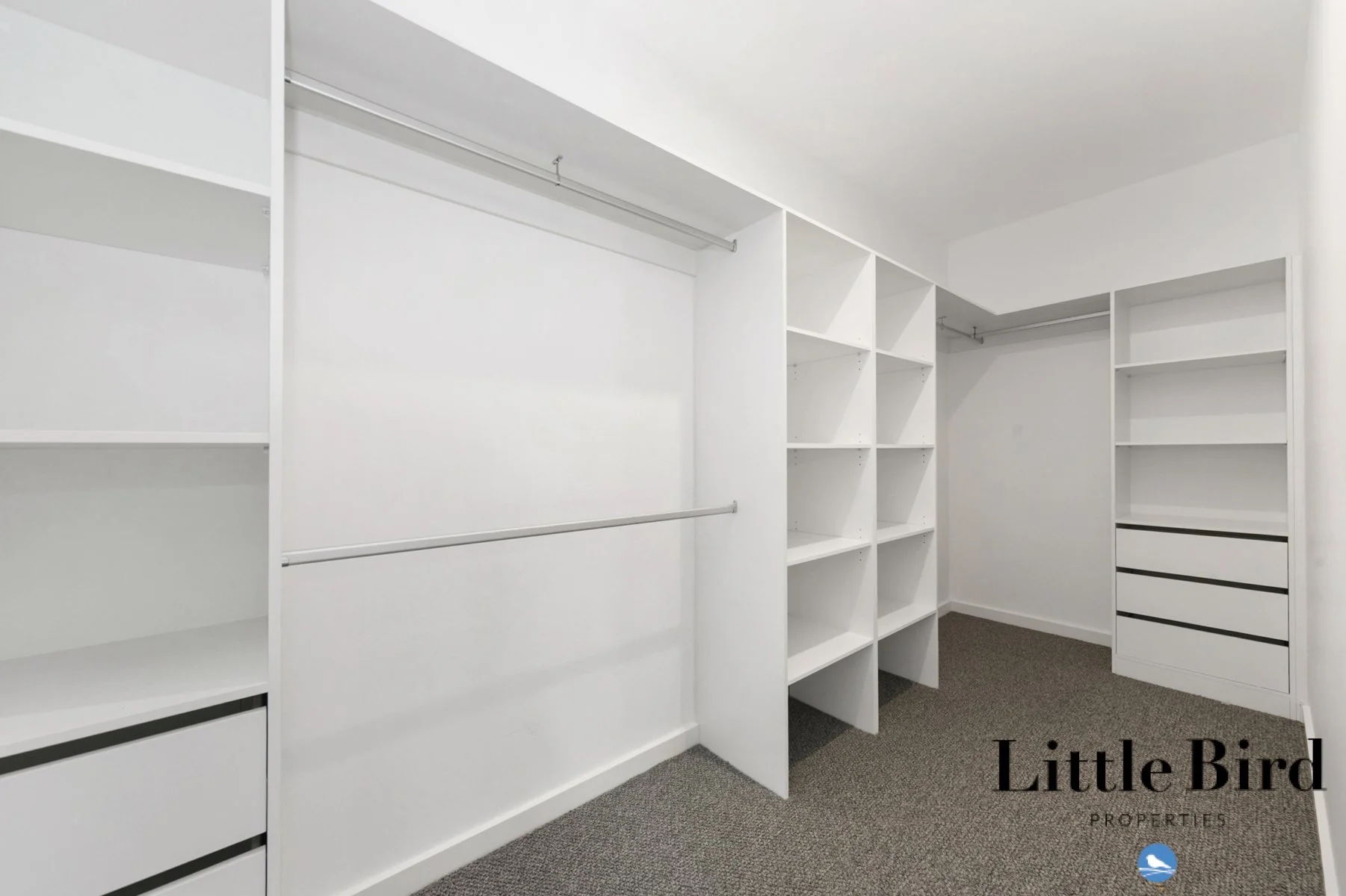 41 Kanooka St Rivett_13.jpg