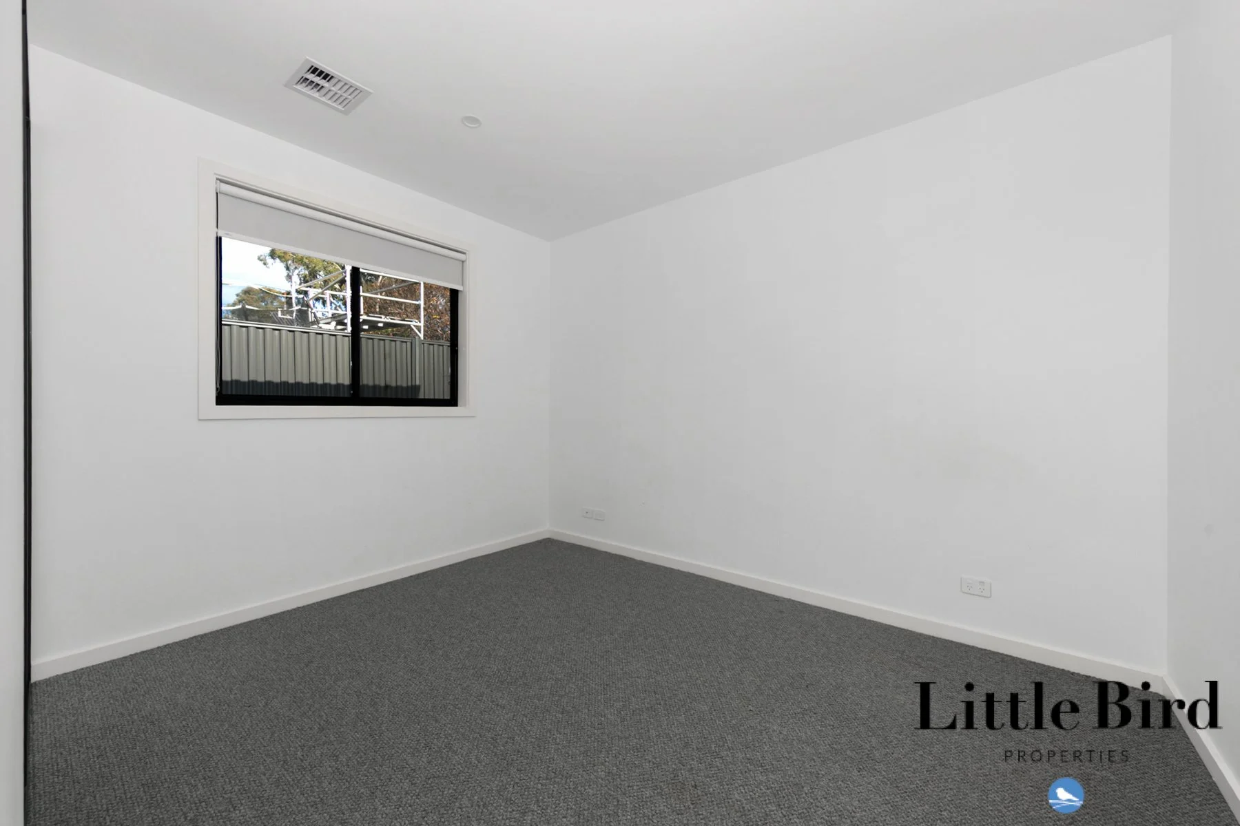 41 Kanooka St Rivett_18.jpg