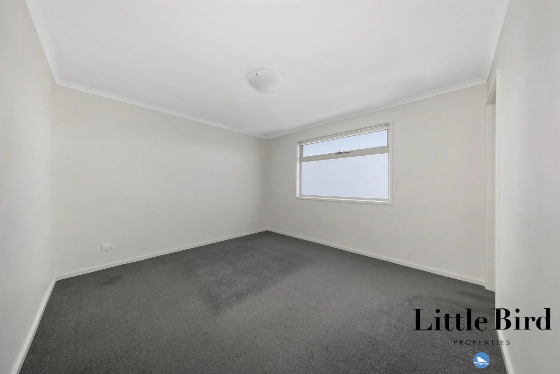 2_5 Arthur St Crestwood _8.jpg