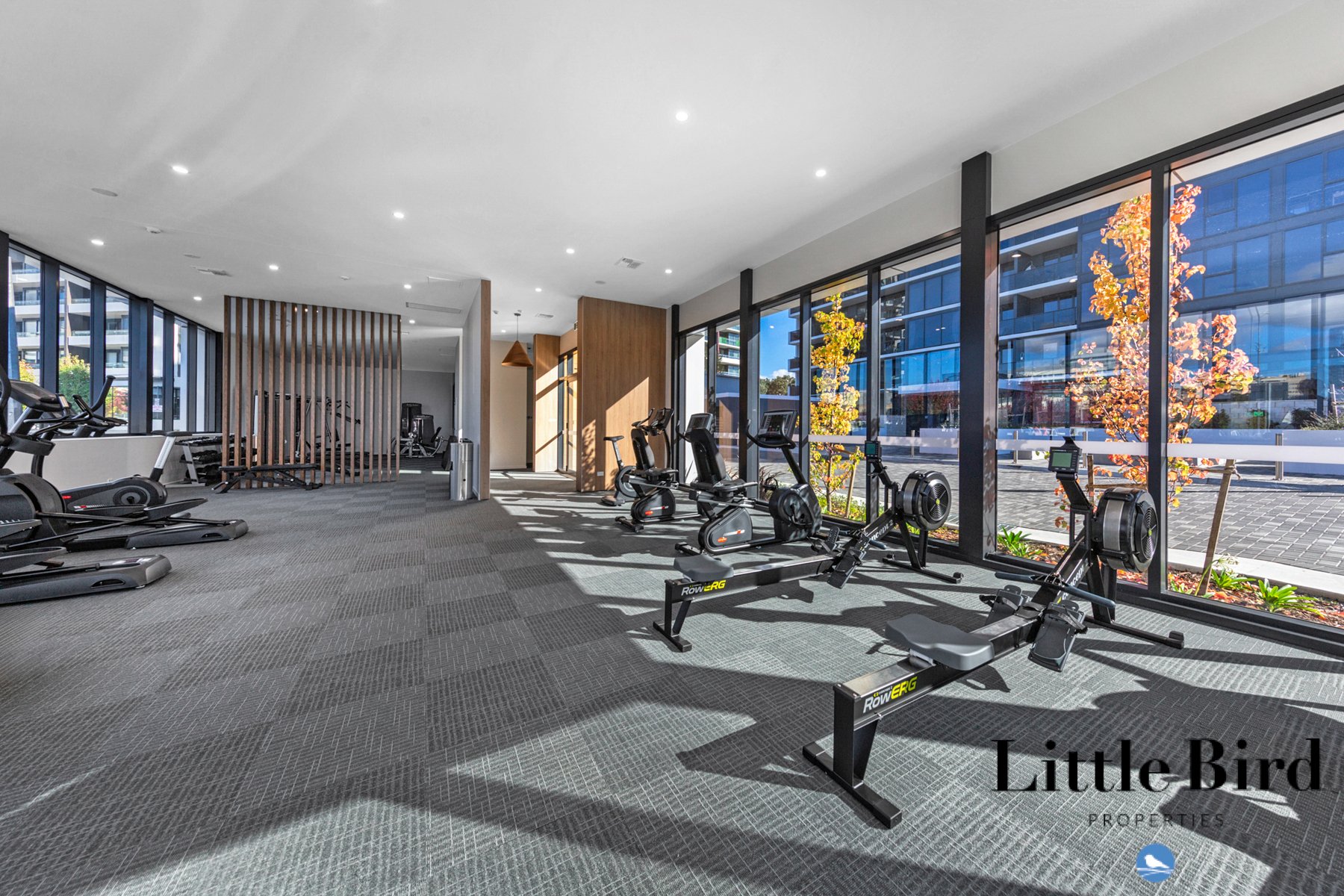 122_9 Irving St Phillip_20.jpg