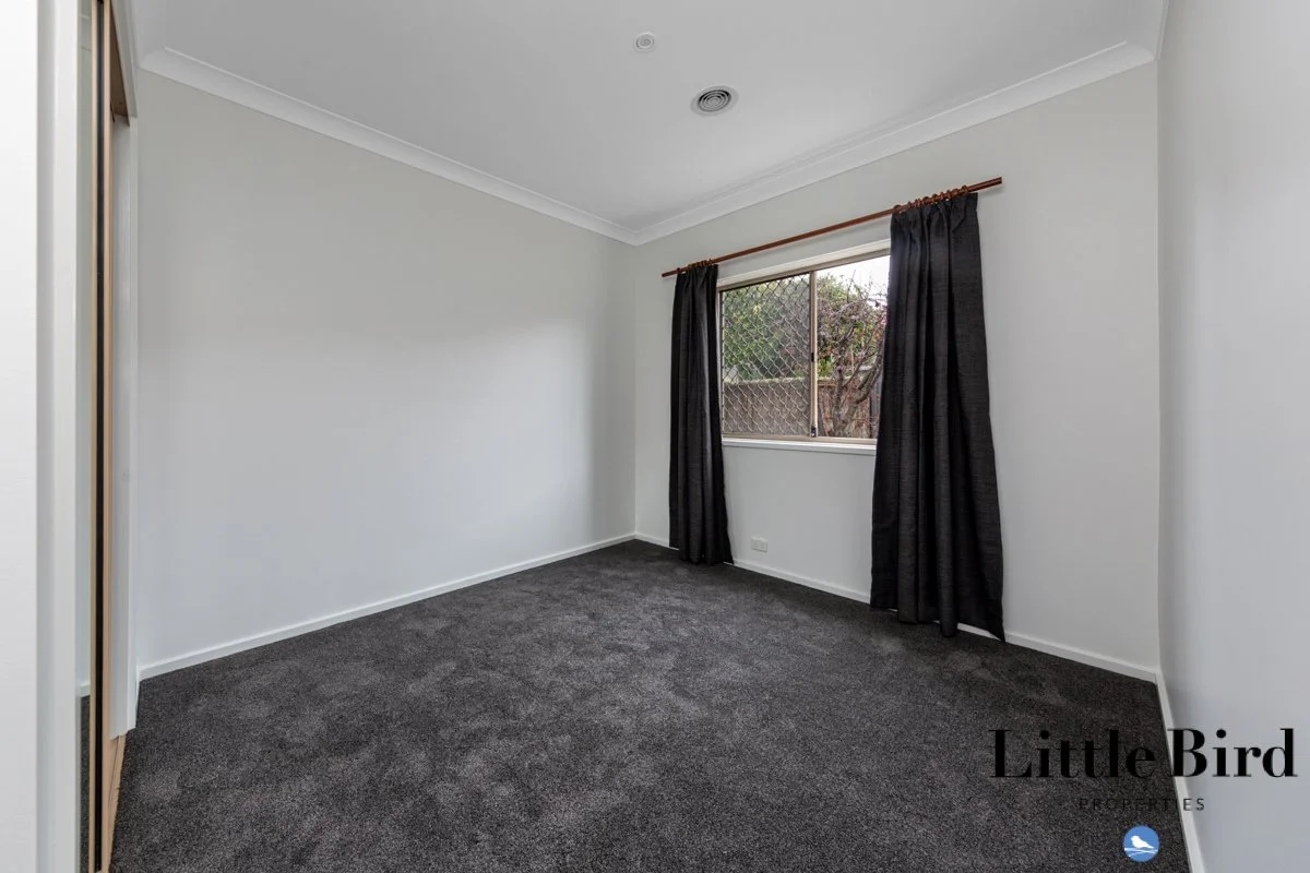 27b Ebden Street Ainslie_14.jpg