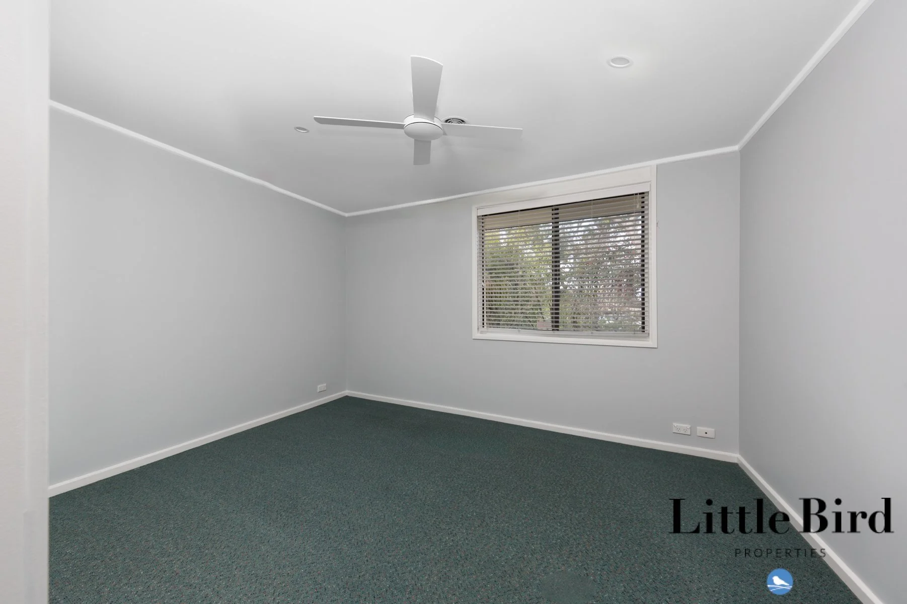 58 Bosworth Cir Kambah_14.jpg