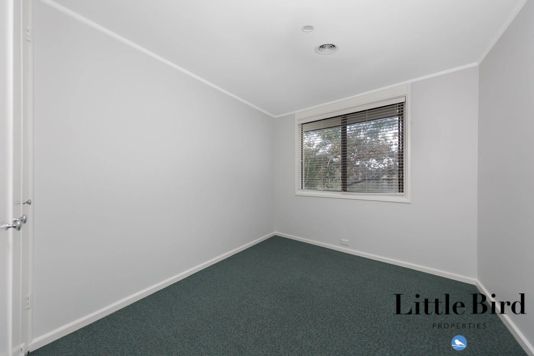 58 Bosworth Cir Kambah_15.jpg