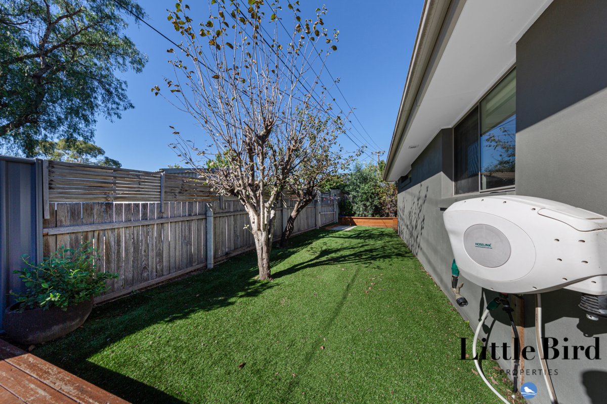 7a Eggleston Ave Chifley_13.jpg