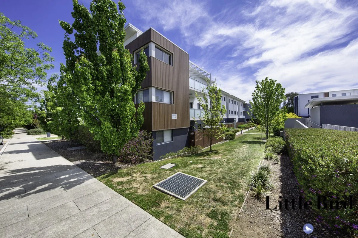 10_41 Clare Burton St Franklin_2.jpg