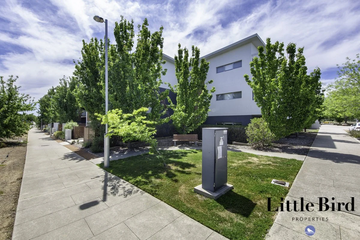 10_41 Clare Burton St Franklin_3.jpg